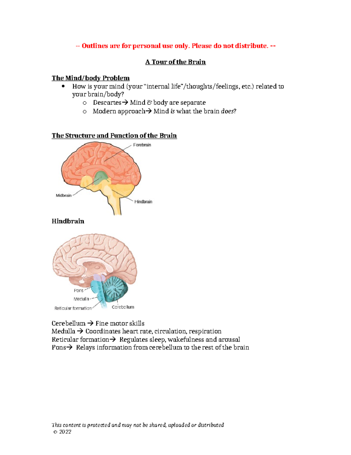 Biological Psych Outline-2 - Tagged - Outlines are for personal use ...