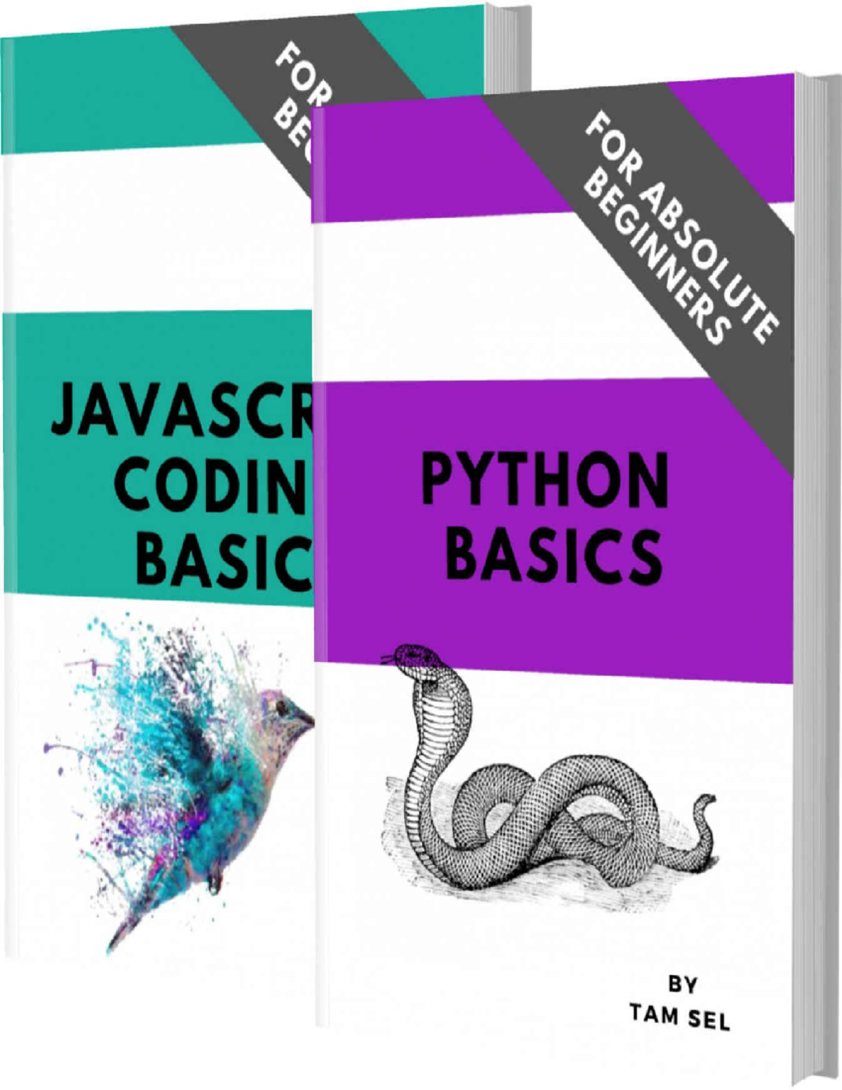 python-and-javascript-coding-basics-for-absolute-beginners-python-and