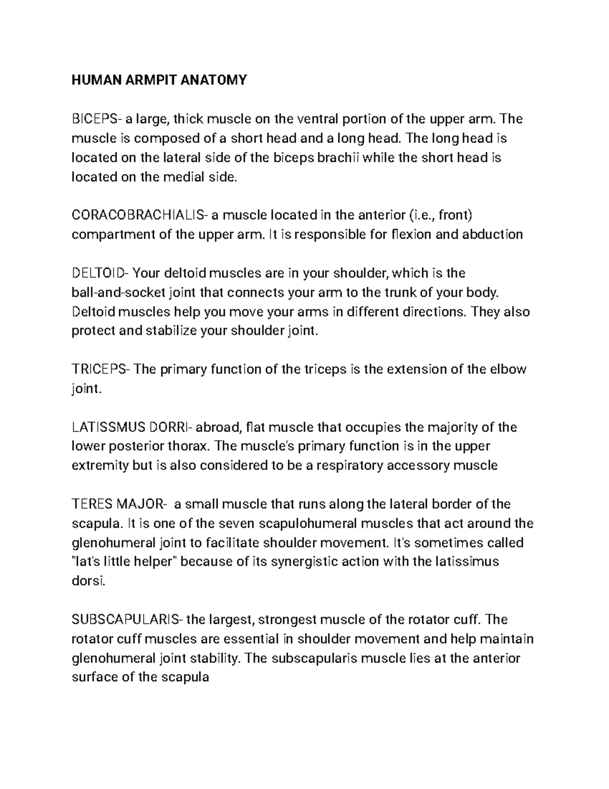 Human Armpit Anatomy HUMAN ARMPIT ANATOMY BICEPS a large, thick