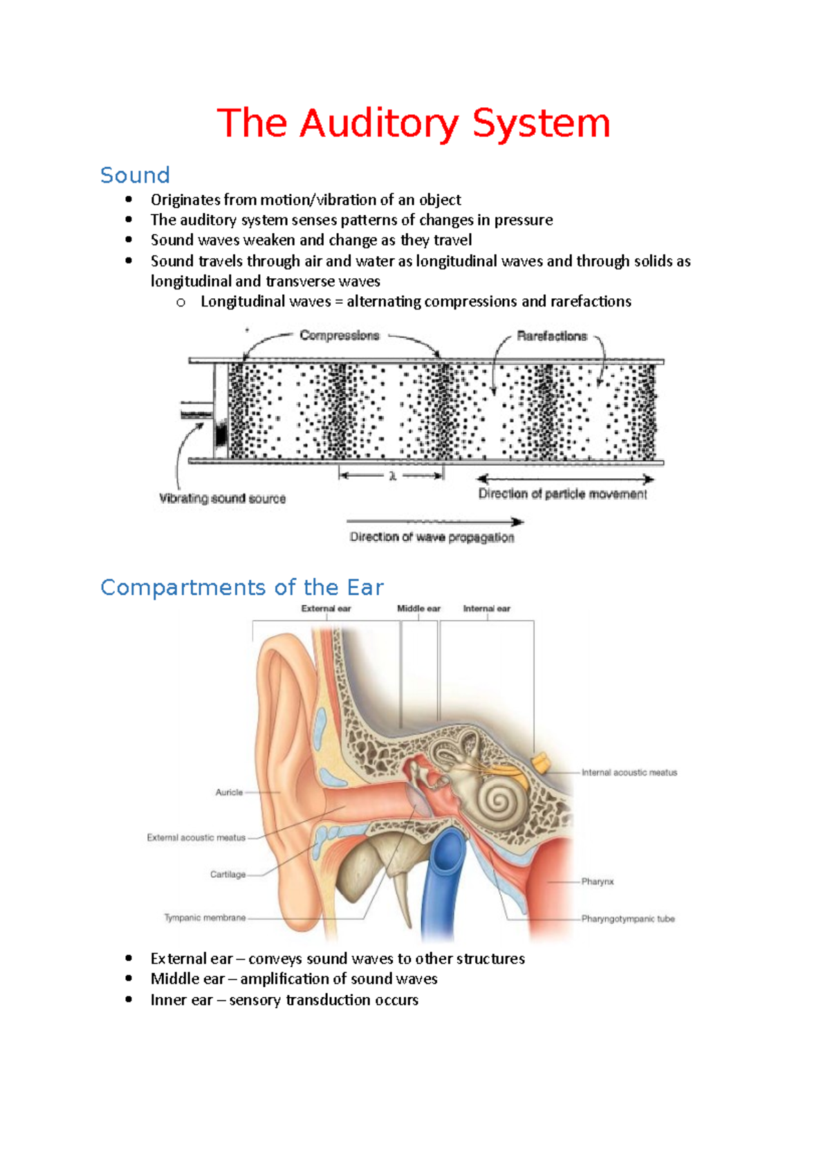 The Auditory System - The Auditory System Sound Originates from motion ...