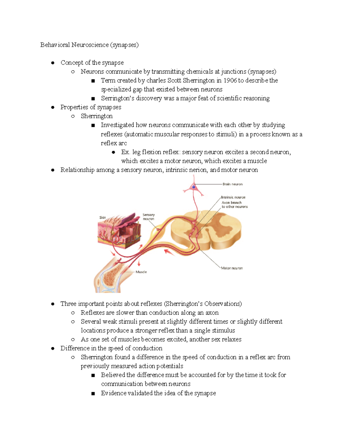 behavioral neuroscience synapses - Deprecated API usage: The SVG back ...