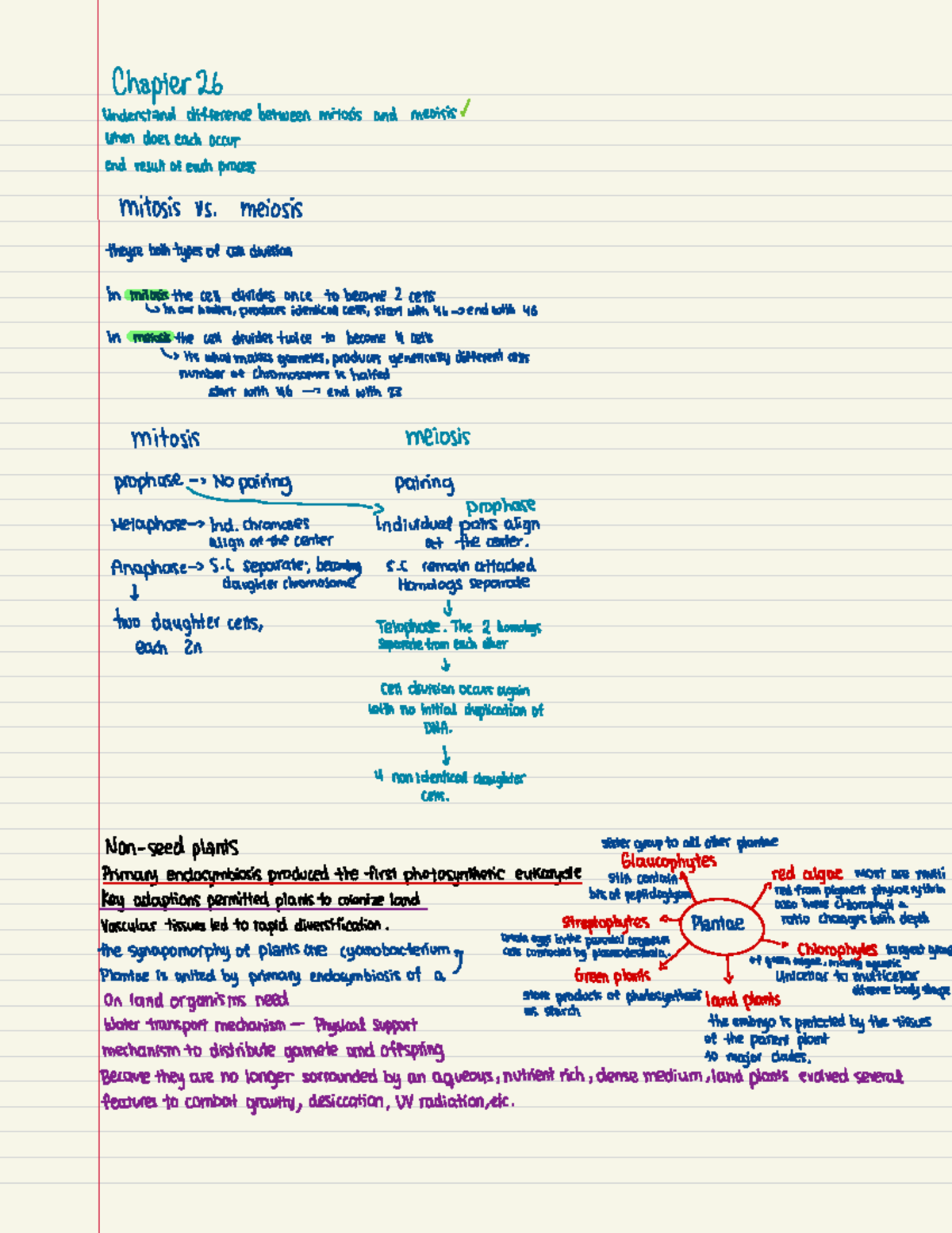 Org Biology ch 26 - Lecture notes of the 26th chapter - Chapter 26 ...