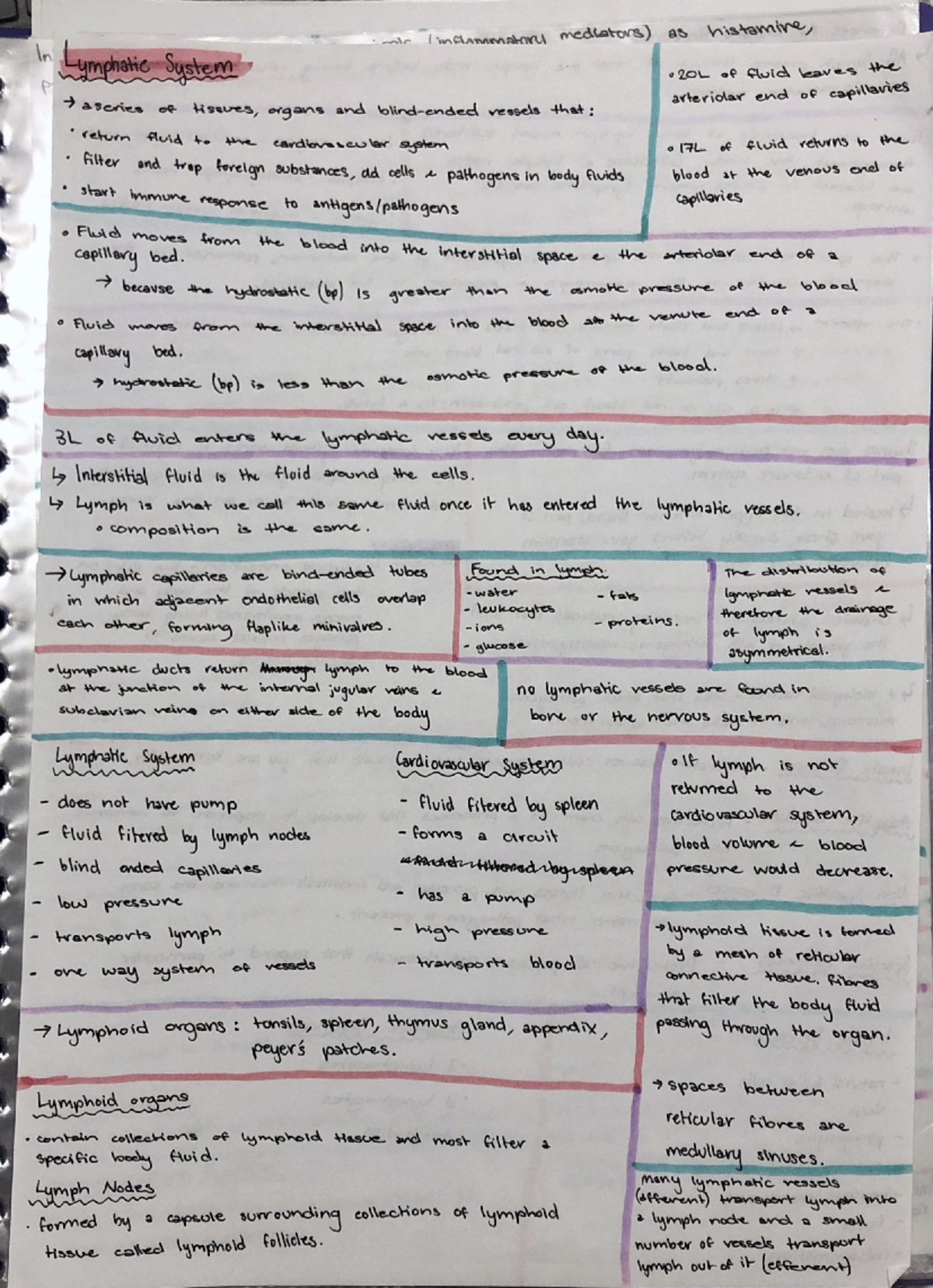 Lymphatic System - Exam Study sheet - Nursing - Studocu