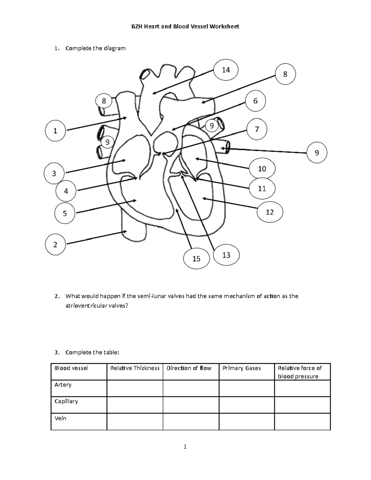 Heart and Blood Vessel Worksheet - For each, match the description with ...