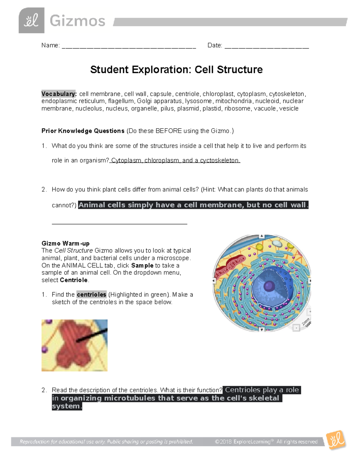 Cell Structure Gizmo SE - Name ...