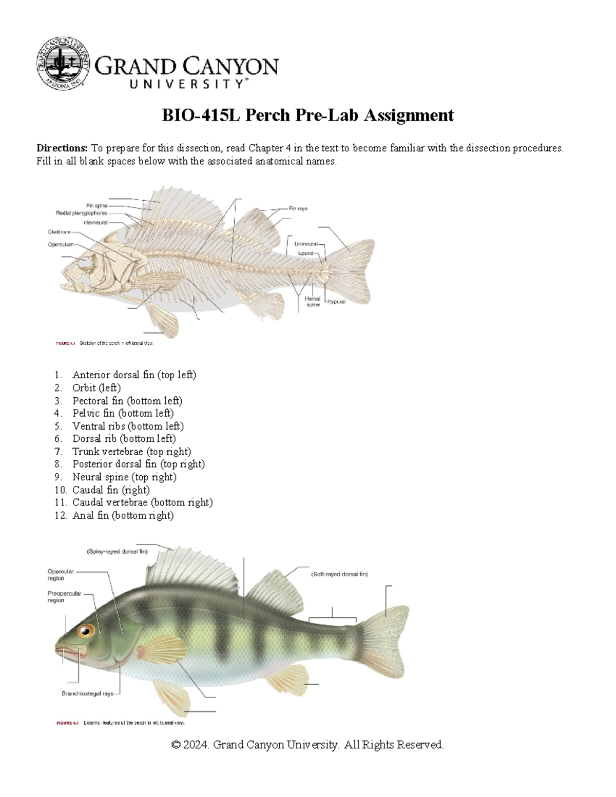 3 BIO-415L-RS-Perch Pre Lab Assignment - BIO-415L Perch Pre-Lab ...