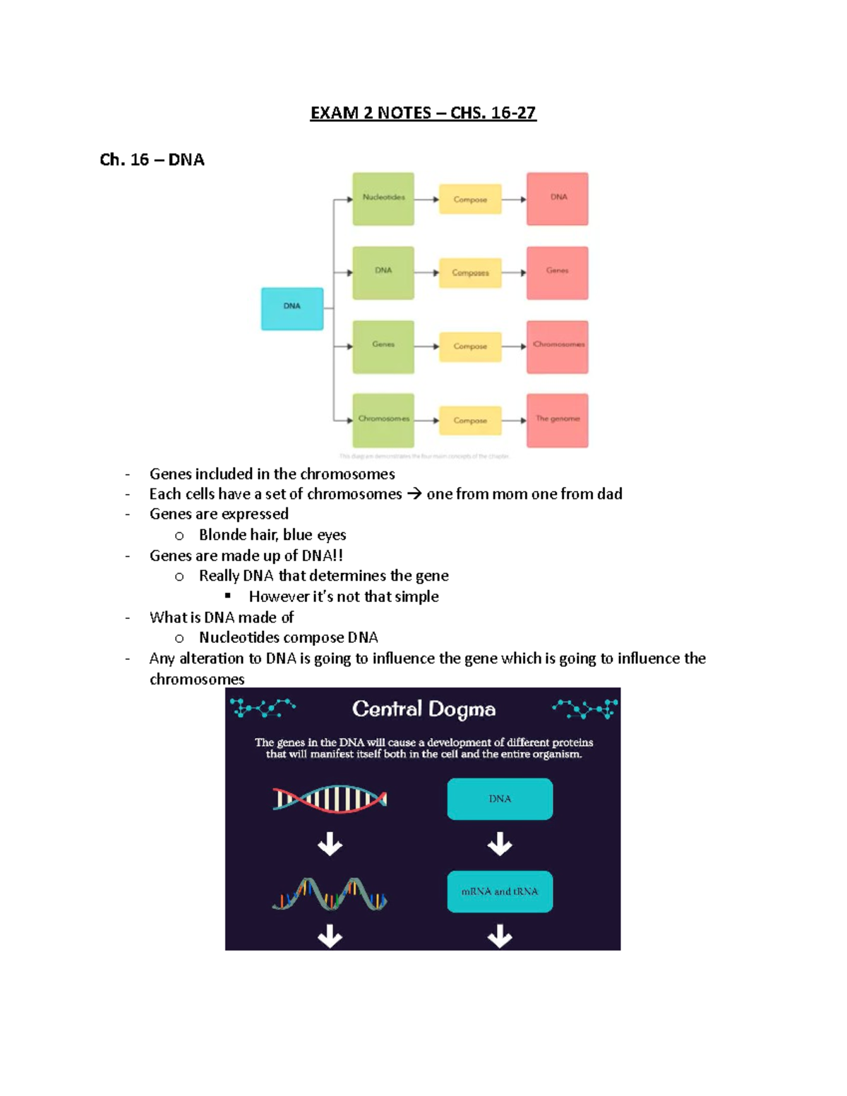 BIO 100 chs. 15-27 notes - EXAM 2 NOTES – CHS. 16-27 Ch. 16 – DNA ...