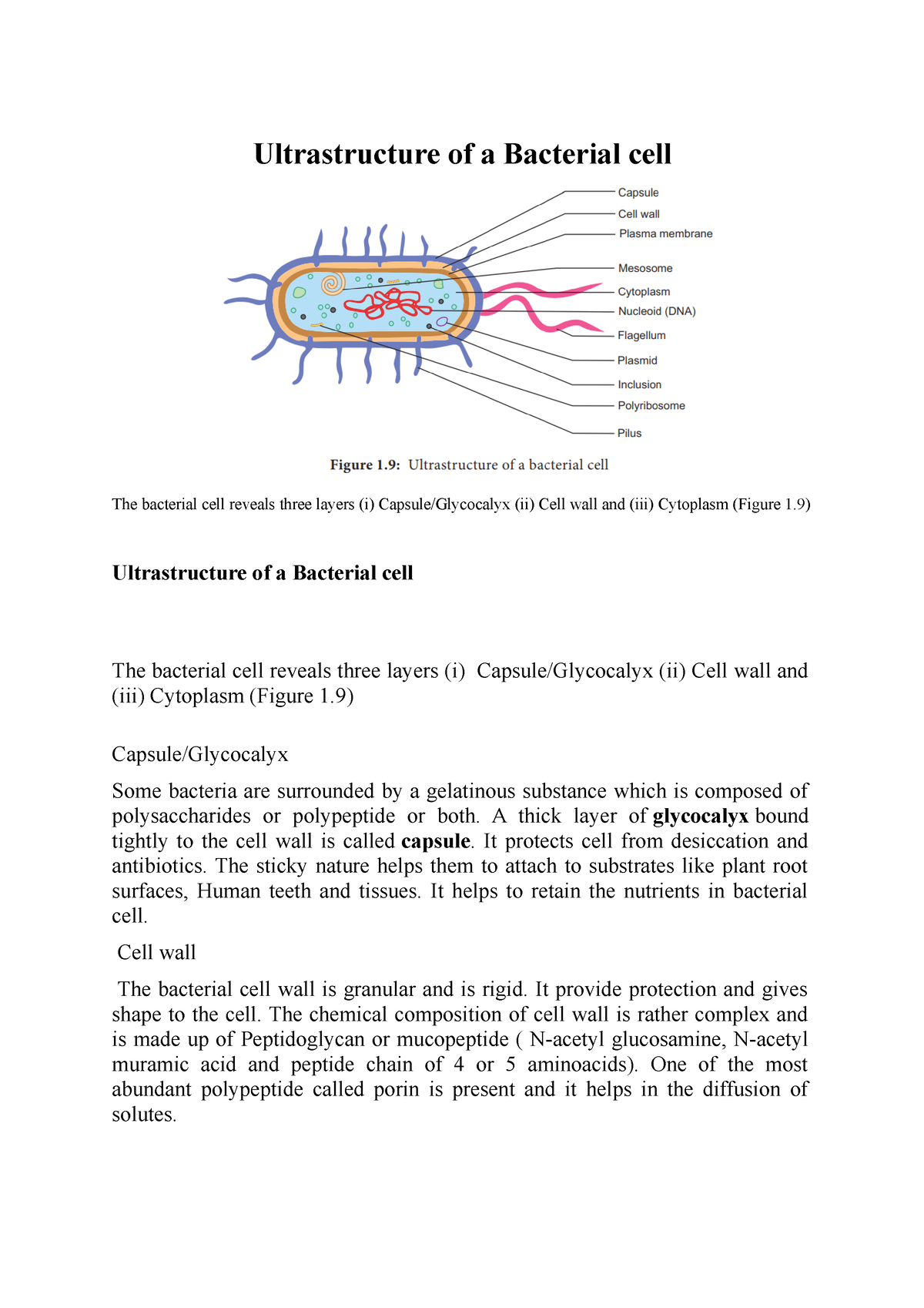 ultrastructure-of-bacteria-ultrastructure-of-a-bacterial-cell-the