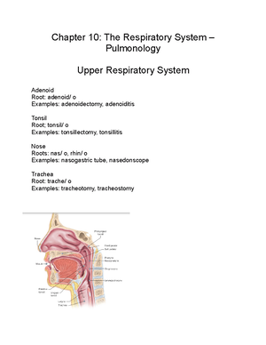 Chapter 11- The Gastrointestinal System Gastroenterology 11.4- Word ...