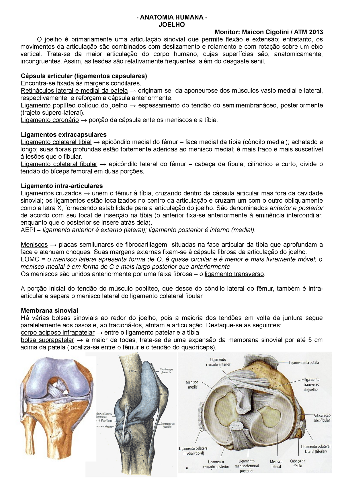 Joelho Resumo Anatomia Humana Anatomia Humana Joelho Monitor Maicon Cigolini Atm O