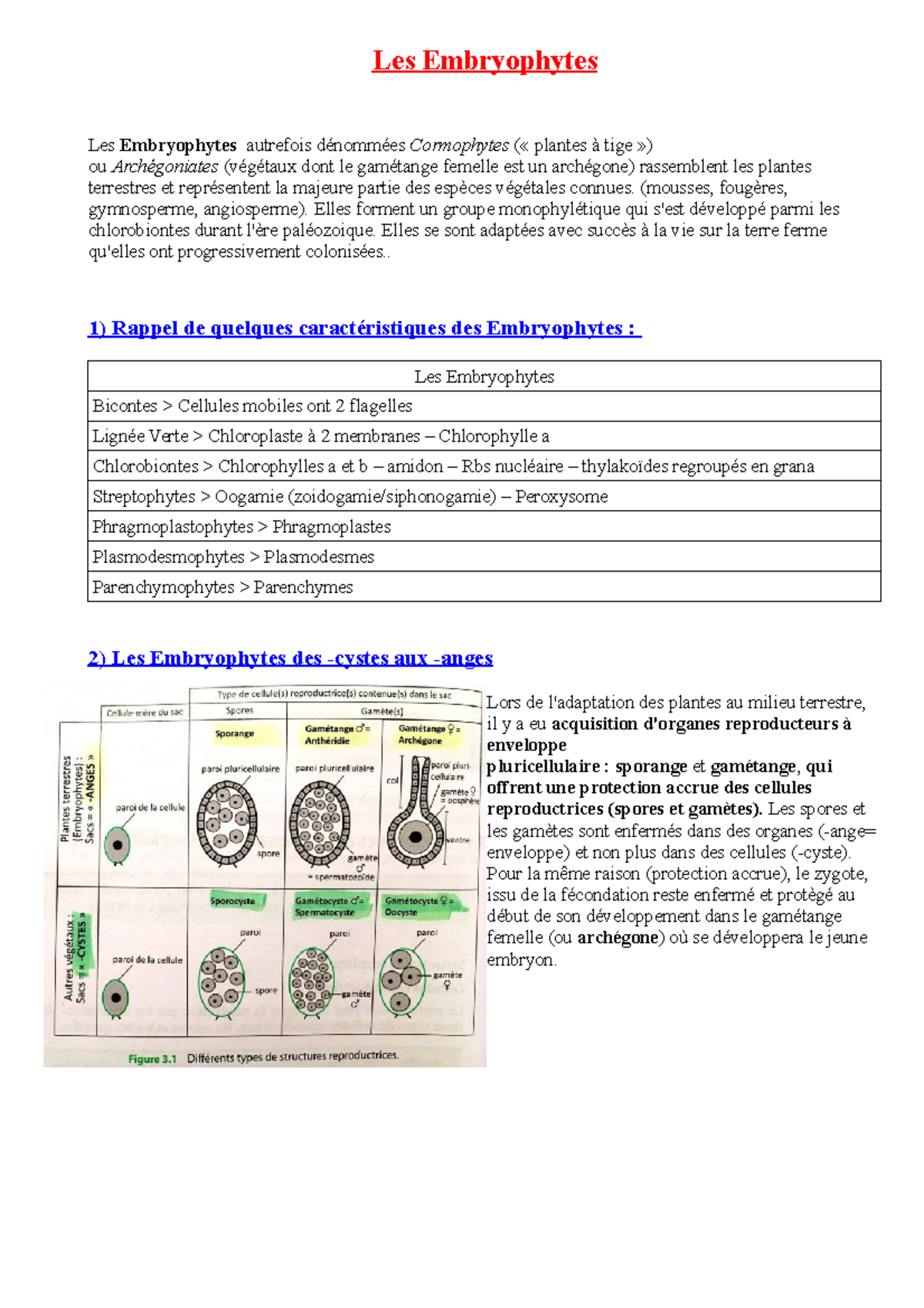 2) Les Embryophytes - Les Embryophytes Les Embryophytes autrefois ...