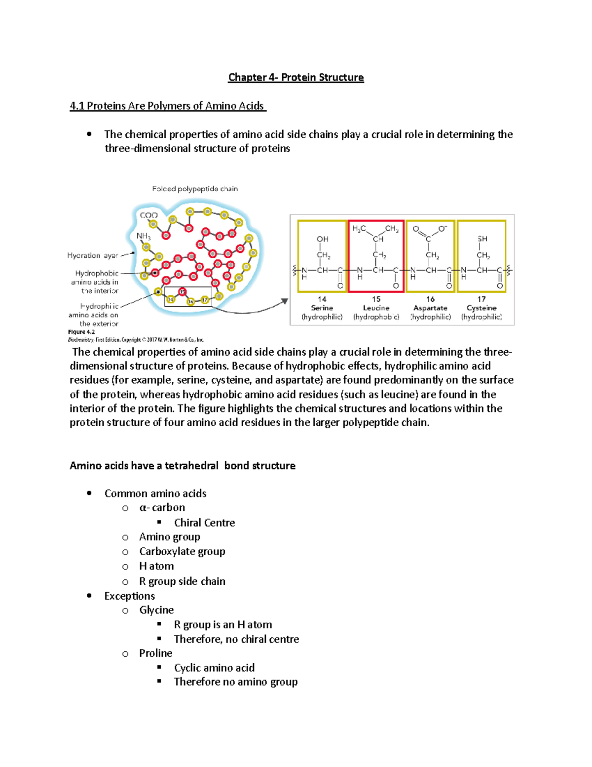 Chapter 4 - Lecture note - Chapter 4- Protein Structure 4 Proteins Are ...