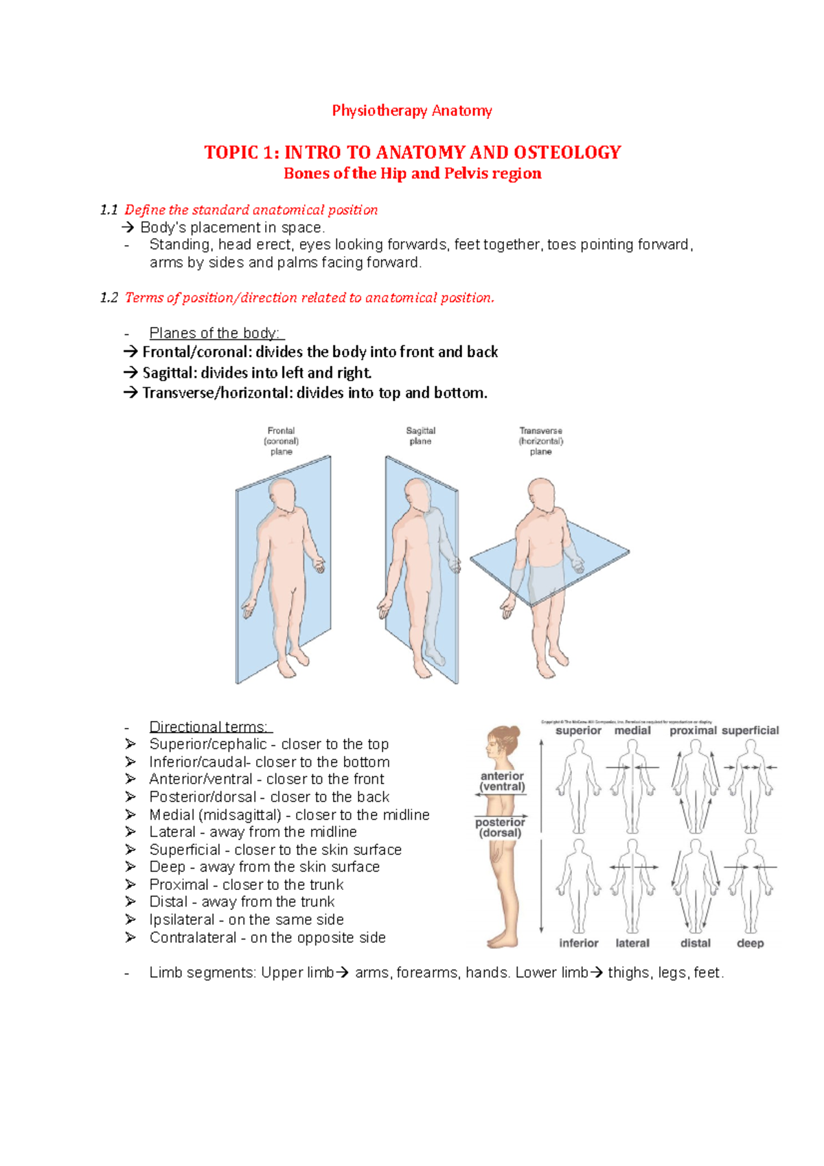 Physiotherapy Anatomy TOPIC 1: INTRO TO ... Biology Diagrams