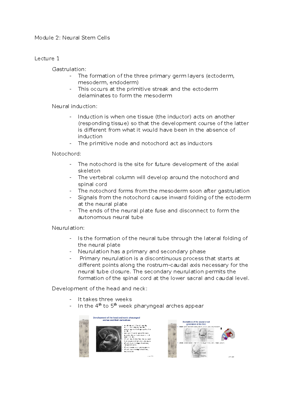 Quiz 1 study - notes - Module 2: Neural Stem Cells Lecture 1 ...