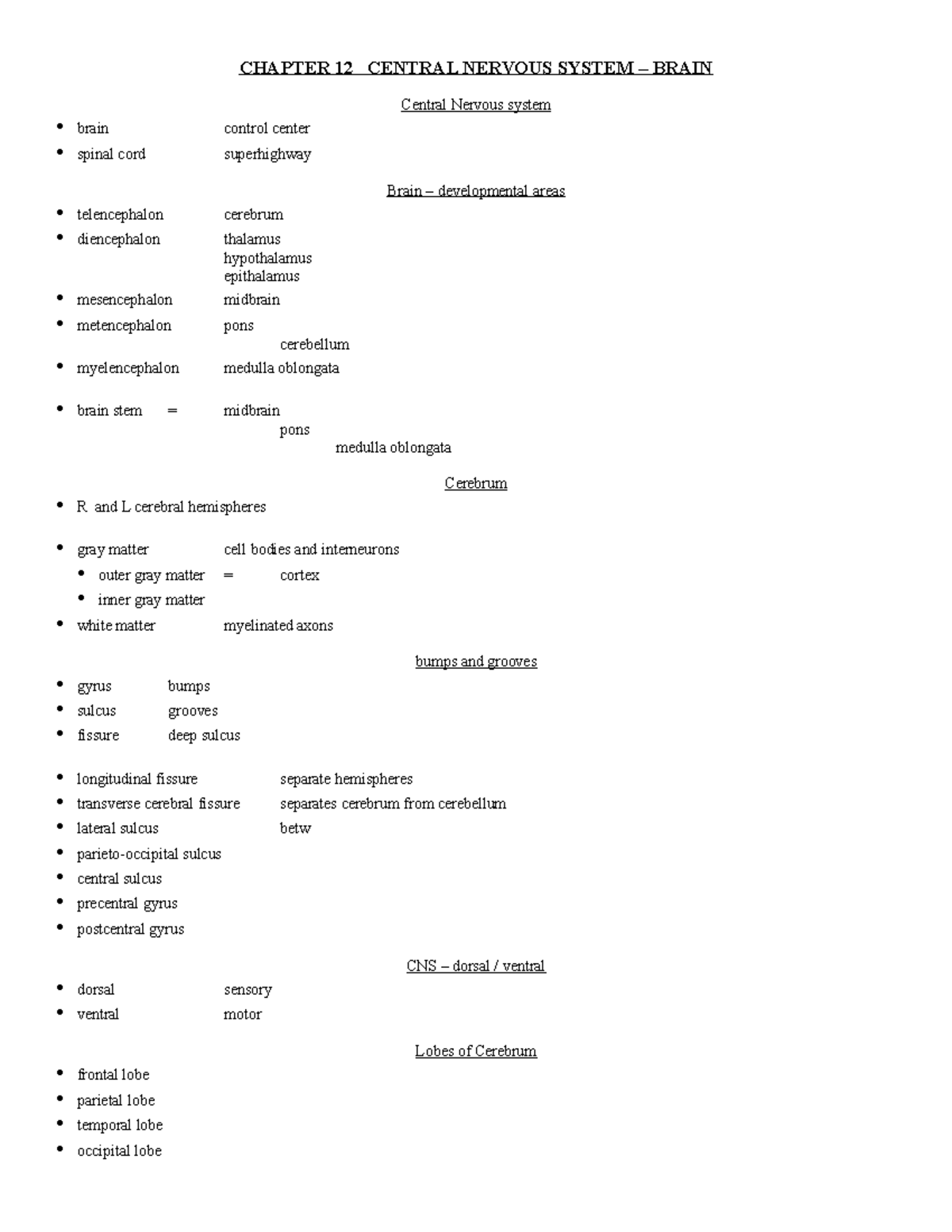 Ch12 CNS - Brain - CHAPTER 12 CENTRAL NERVOUS SYSTEM – BRAIN Central ...
