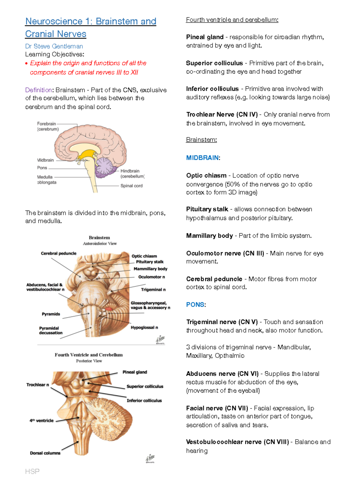 Neuroscience - Harvinder Power - Lecture notes, lectures 1 - 21 ...