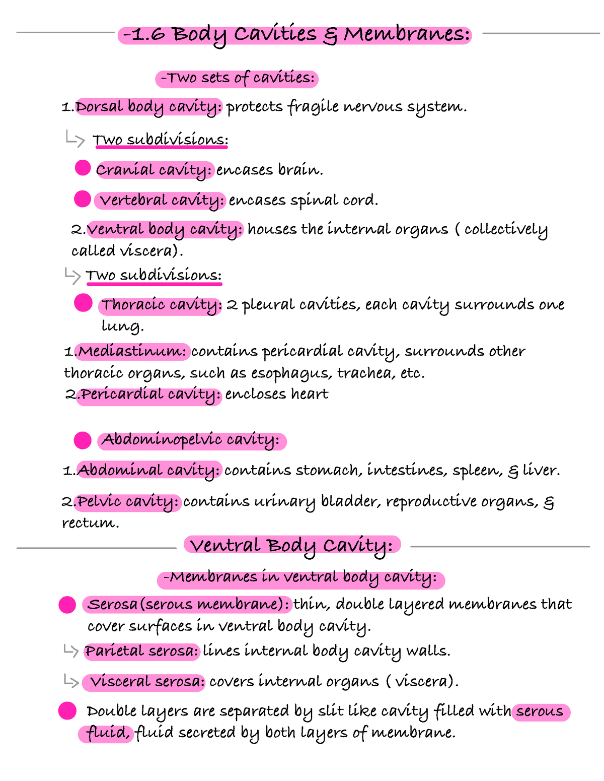 Chapter 1: Page 20 -1 Body Cavities & Membranes: -Two sets of cavities ...