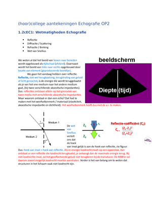 Hoor College C ntekeningen Echografie Ec Op2 Studeersnel