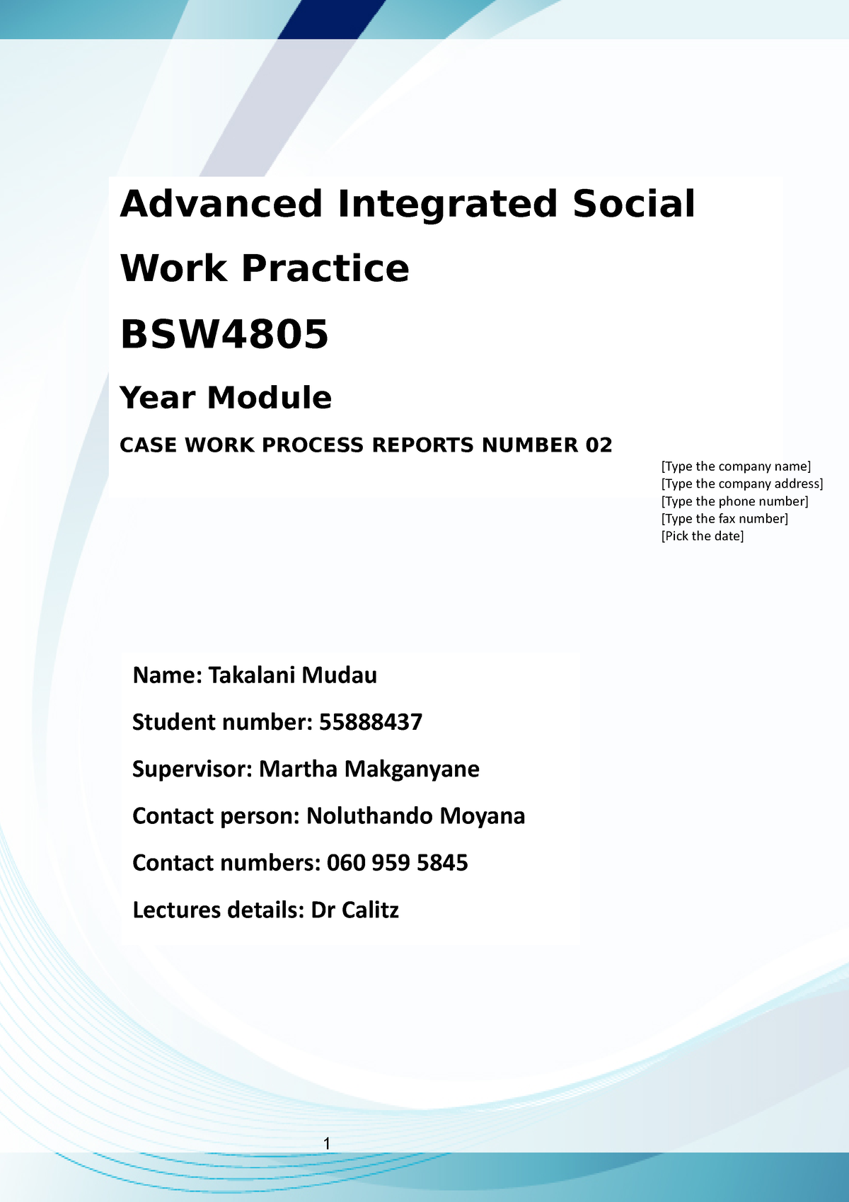 case-work-process-report-report-number-02-advanced-integrated-social