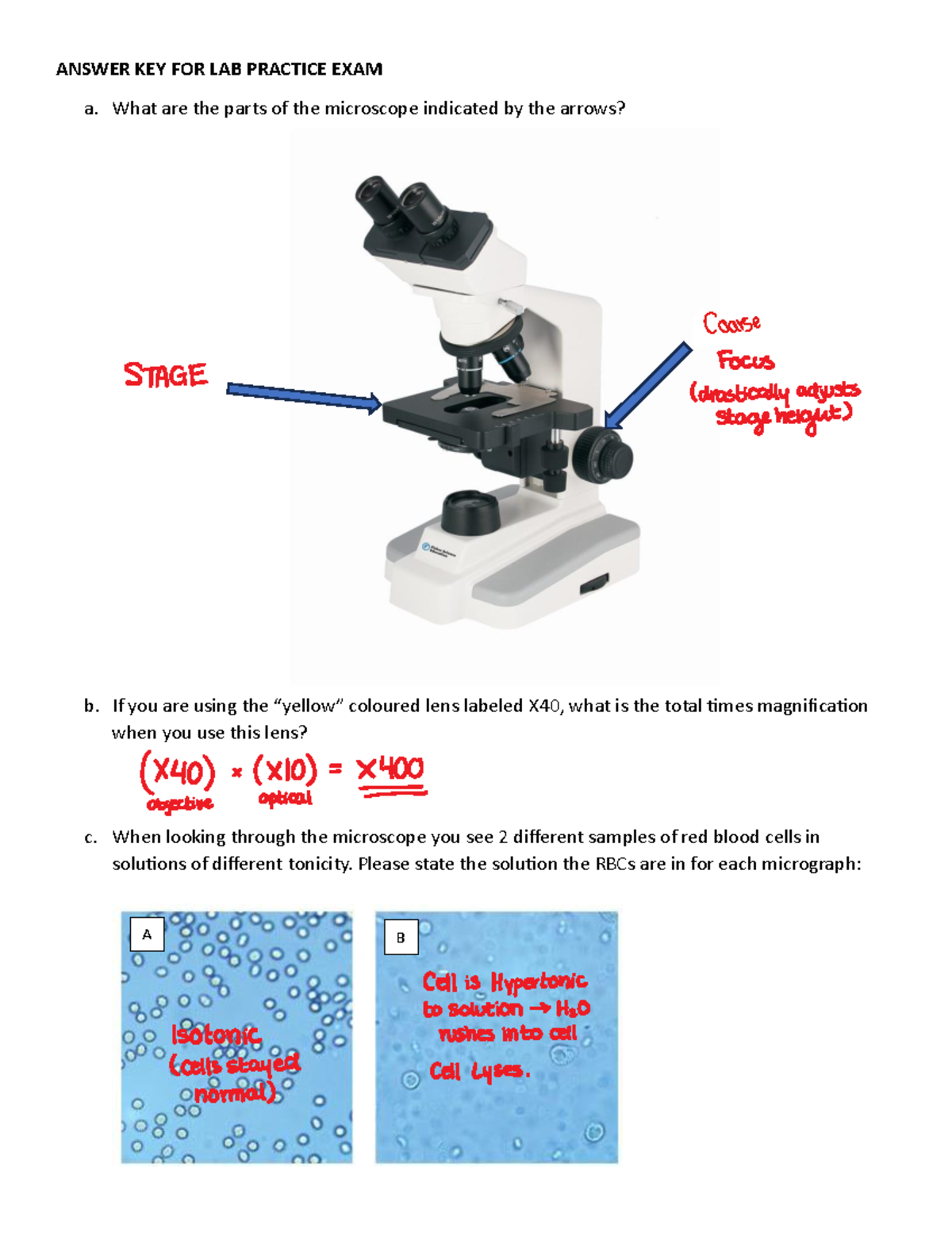 BISC 101 Practice Lab Exam Answer KEY-1 - ANSWER KEY FOR LAB PRACTICE ...