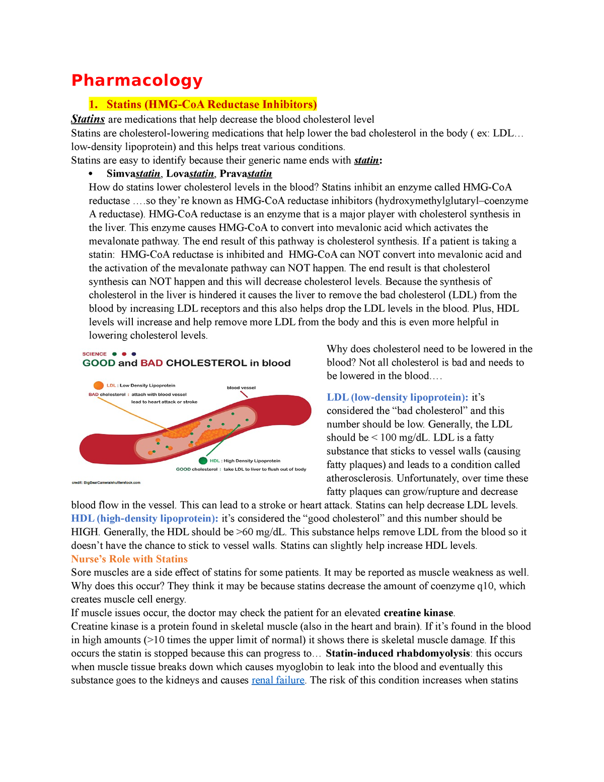 Pharmacology - Statins (HMG-CoA Reductase Inhibitors) Statins are ...