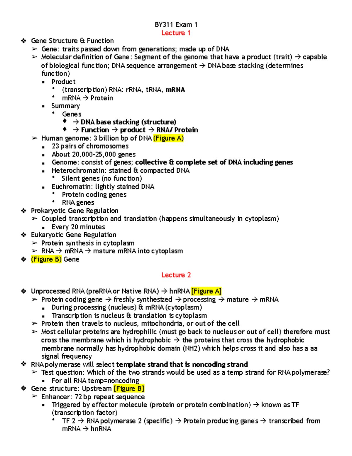 Exam 1 Overview - BY311 Exam 1 Lecture 1 Gene Structure & Function Gene ...