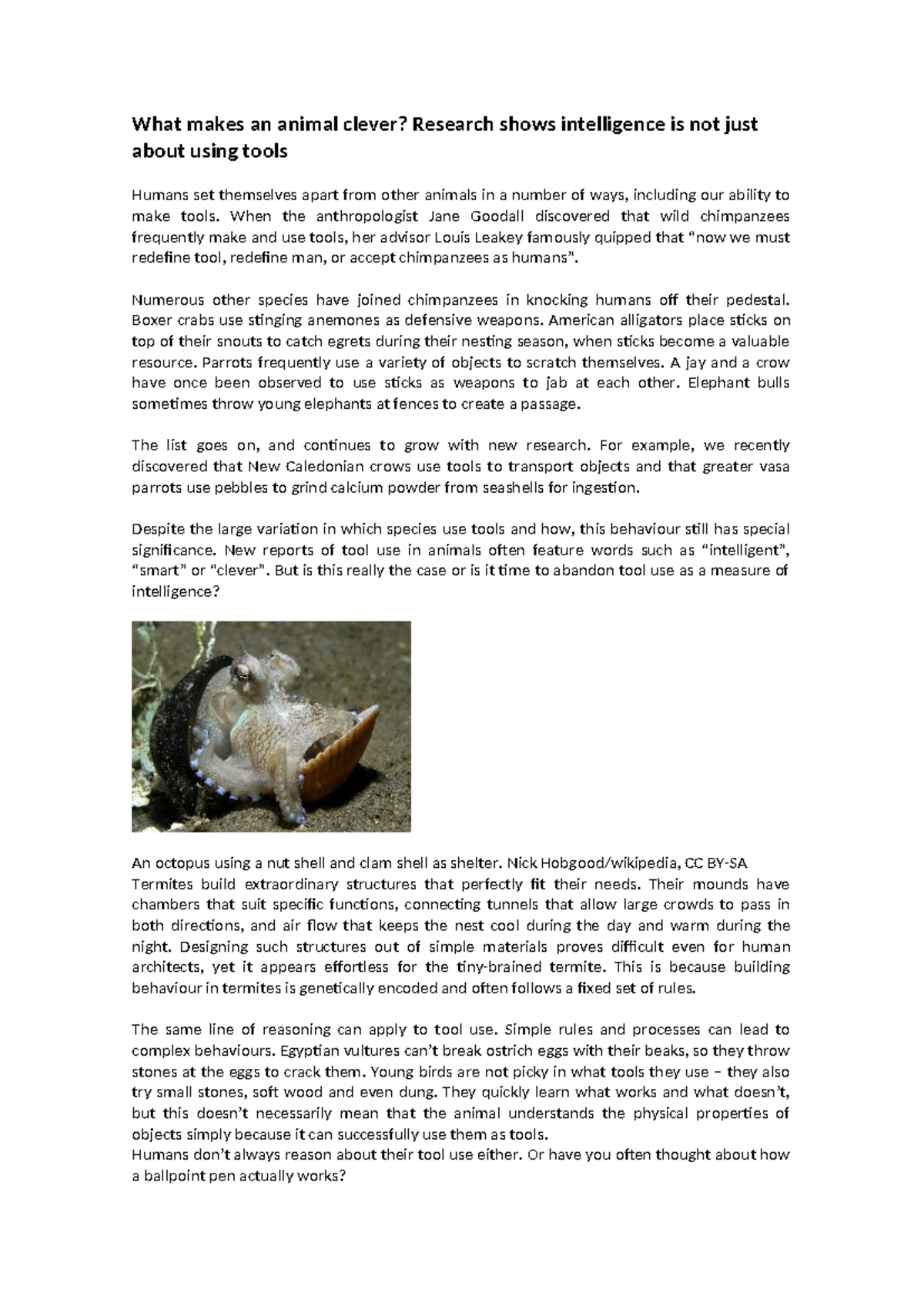 Animal intelligence (3) - What makes an animal clever? Research shows ...