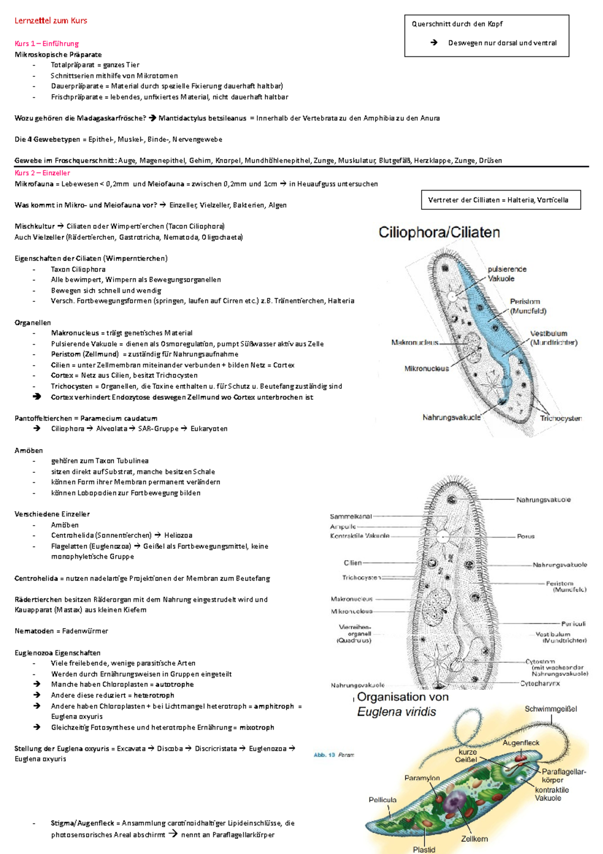 Lernzettel zum Kurs - Lernzettel zum Kurs Kurs 1 – Einführung ...