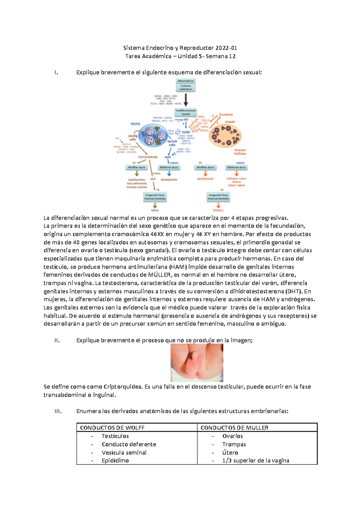 Tarea 9 Endocrino - Sistema Endocrino Y Reproductor 2022- Tarea ...