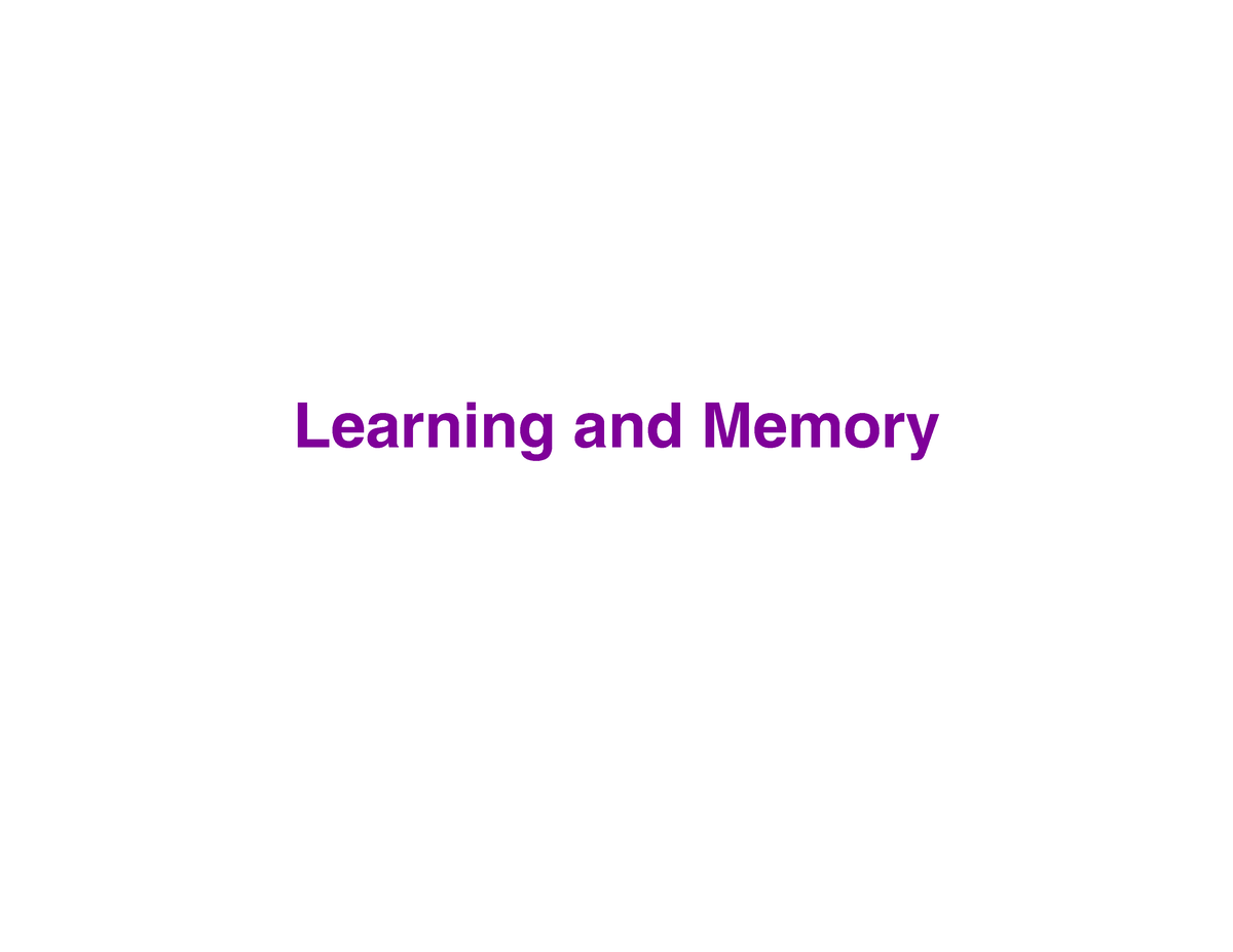 Learning And Memory - Informative - Learning And Memory Learning And ...