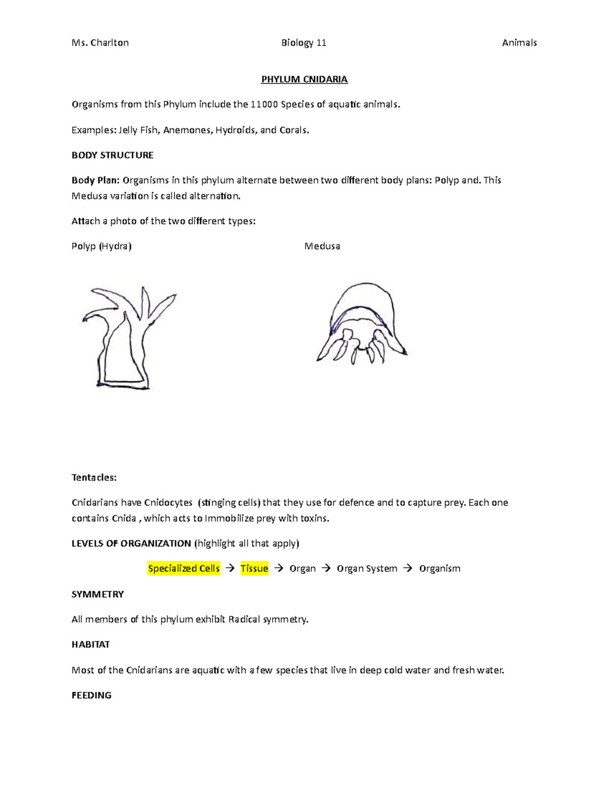 Cnidaria Student Notes Covid - Ms. Charlton Biology 11 Animals PHYLUM ...