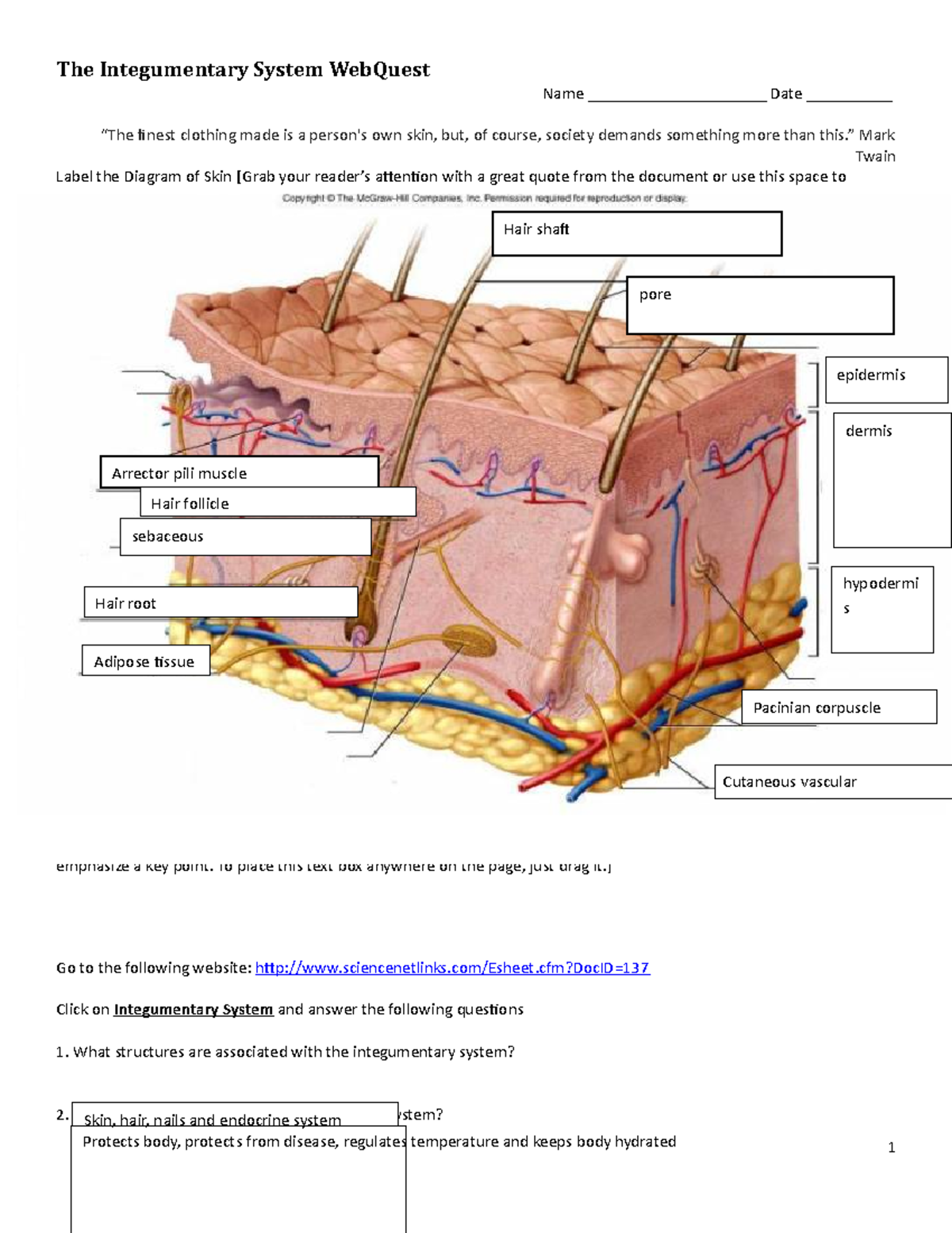 Web quest for An P (real one) - Name _____________________ Date ...