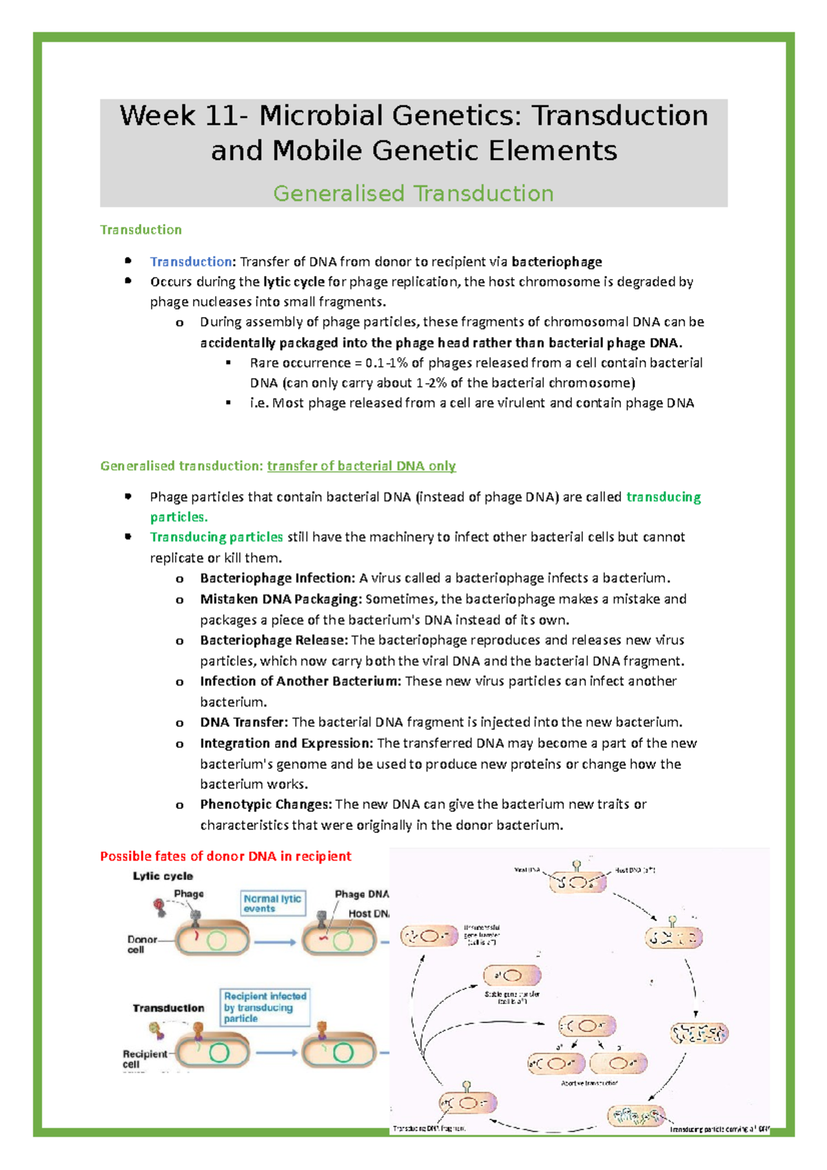 Week 11 Dictionary Definitions from Oxford Languages · Learn more