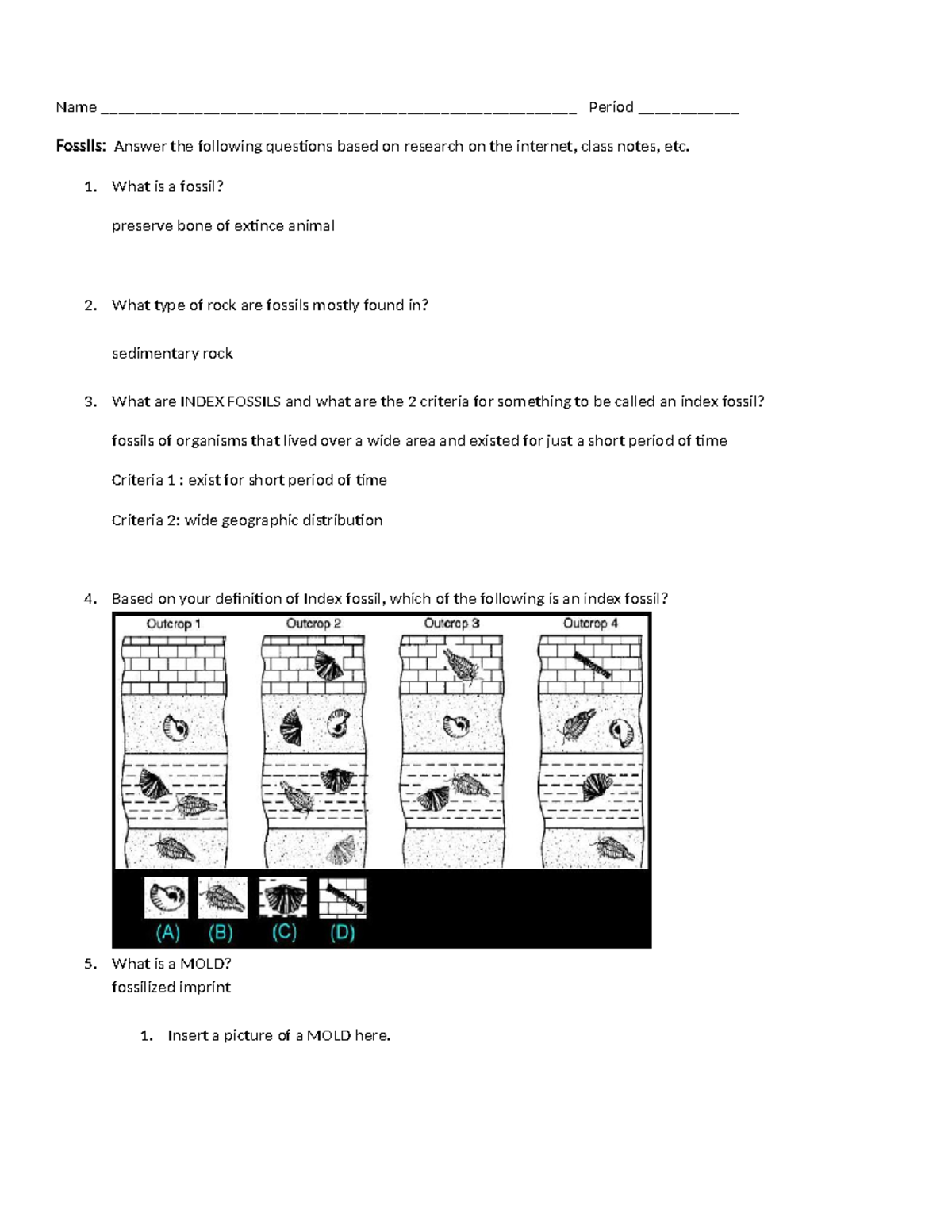 Copy of Fossils Worksheet Name