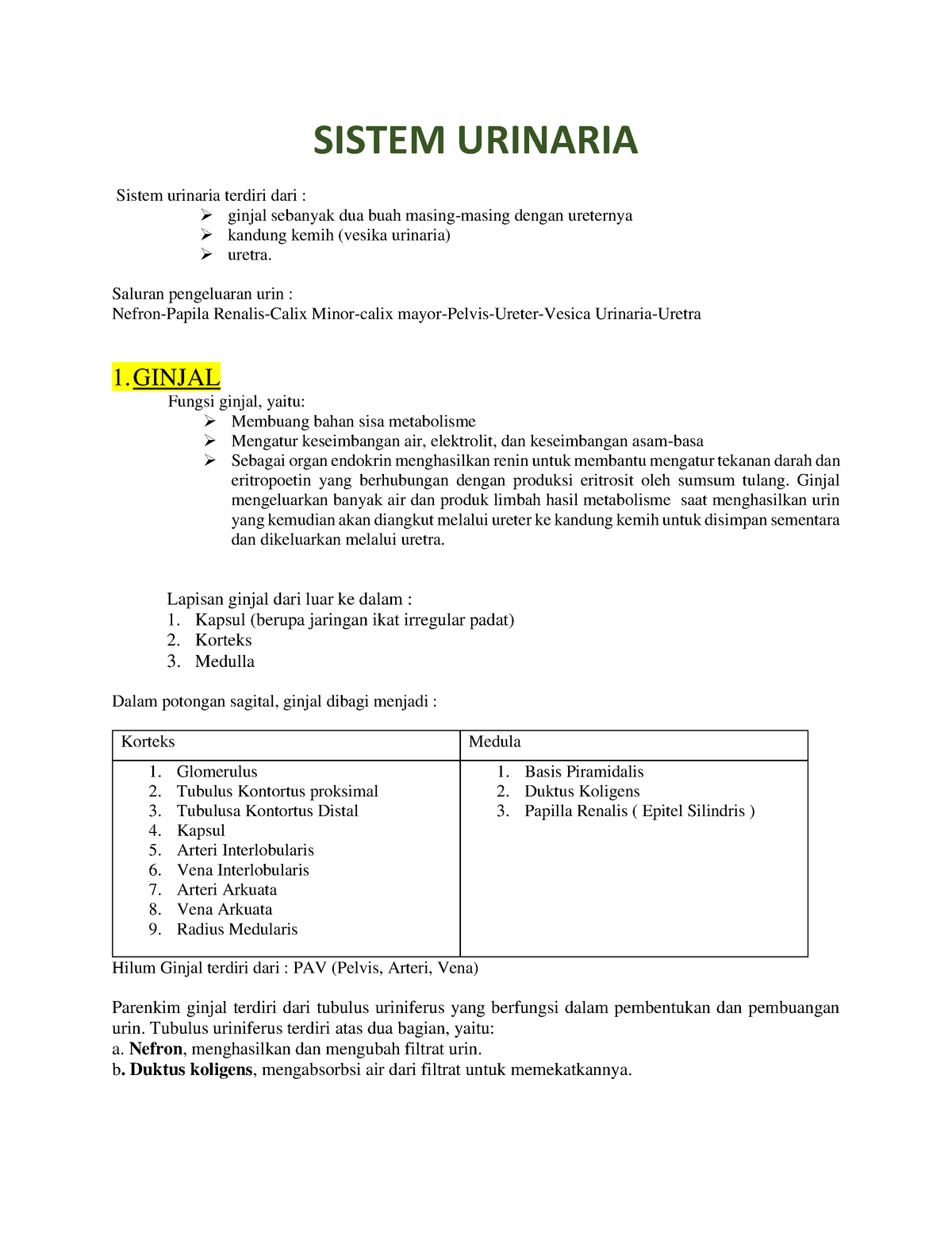 Sistem Urinaria Dan Genetalia Pria Sistem Urinaria Sistem Urinaria