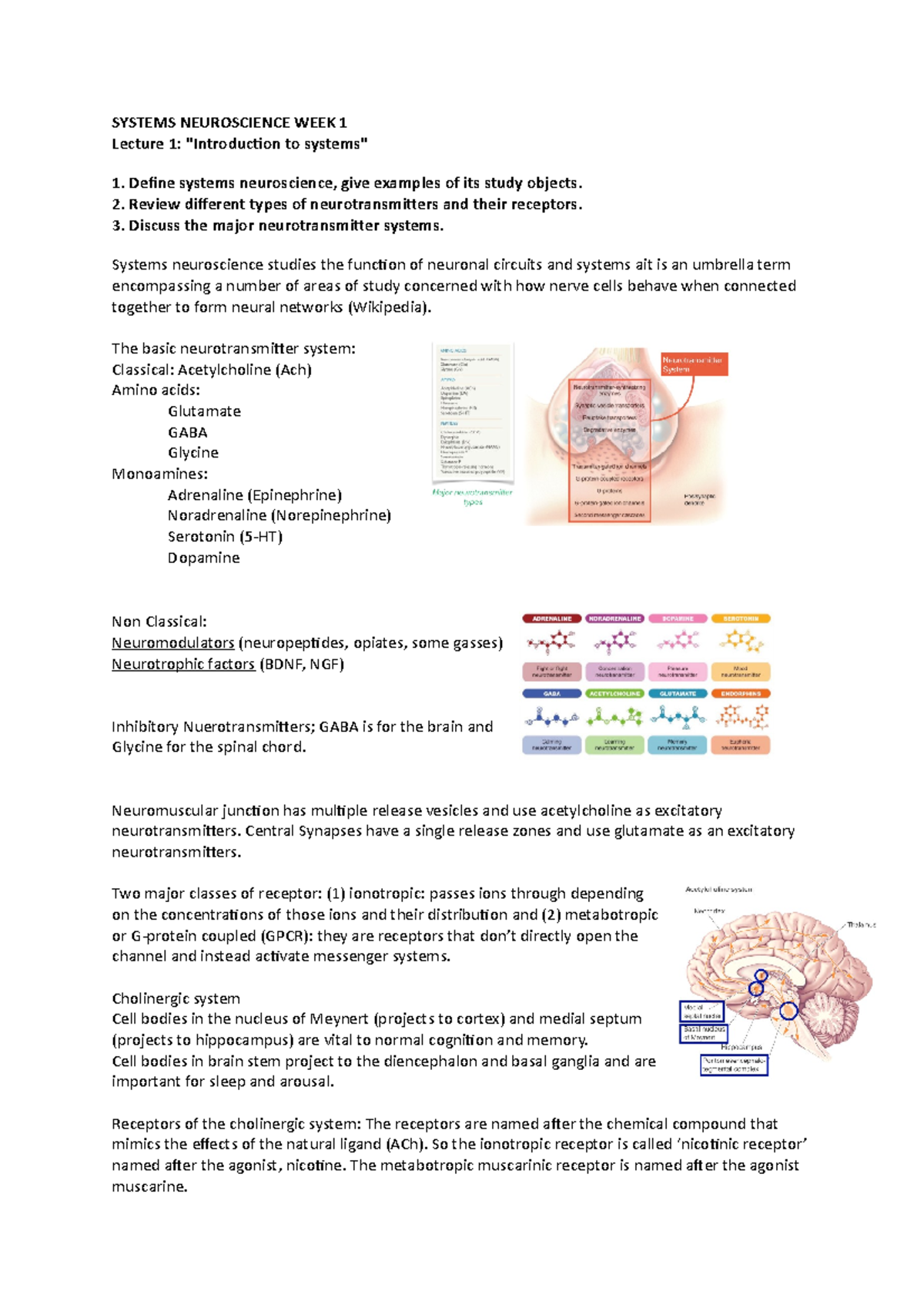 Introduction To Systems - SYSTEMS NEUROSCIENCE WEEK 1 Lecture 1 ...