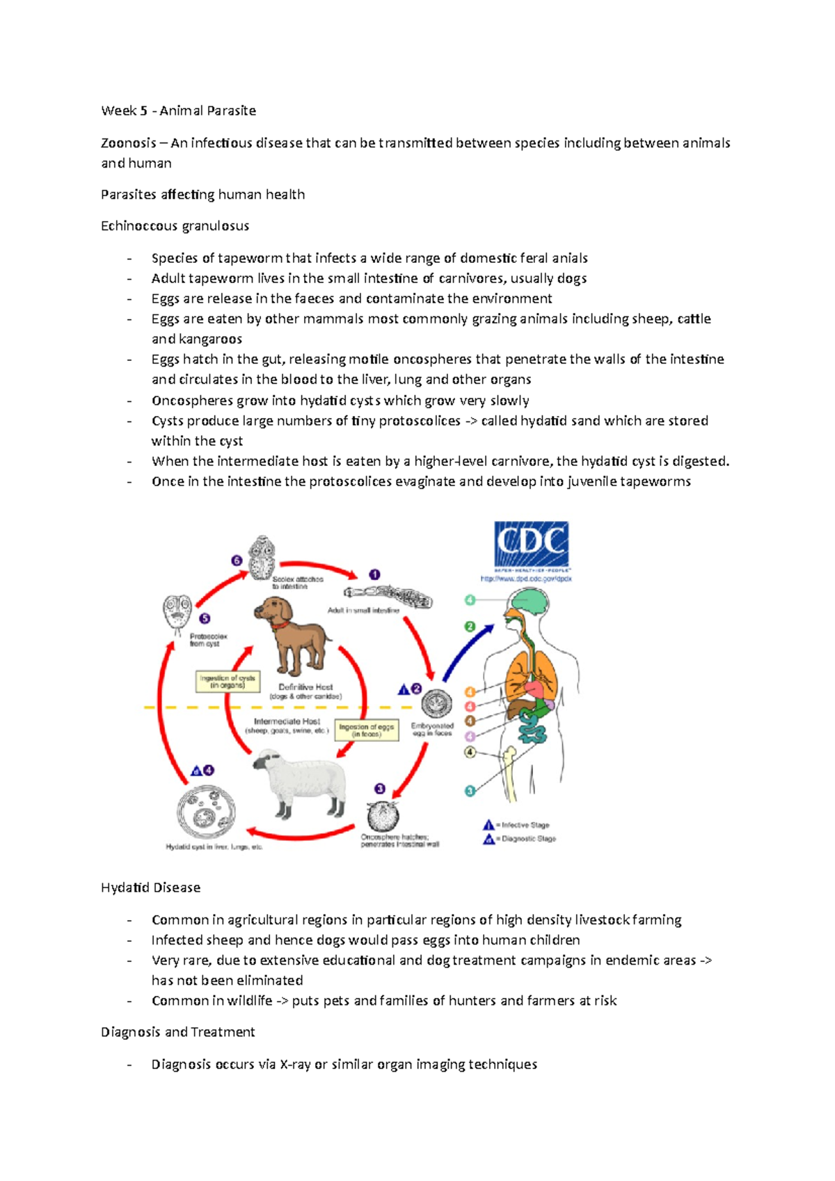Animal Parasites - Week 5 - Animal Parasite Zoonosis – An infectious ...
