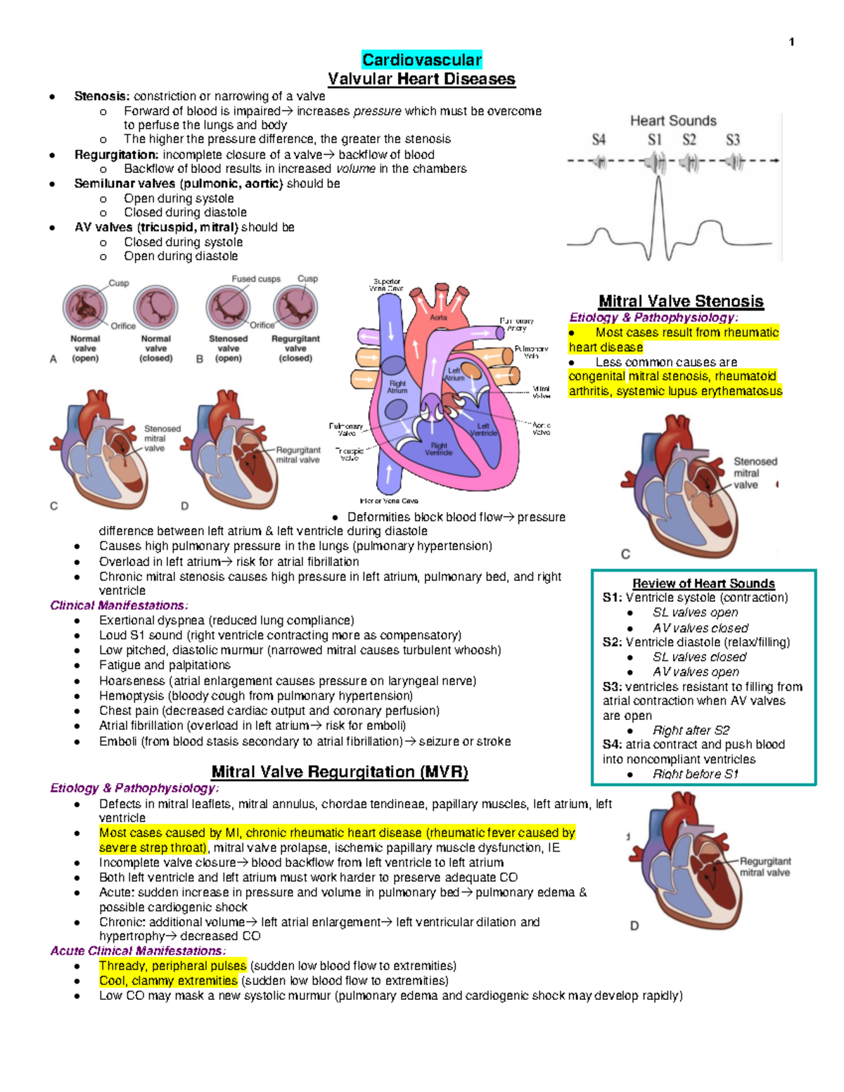 Cardio 1 - Study guide for this course you may need to make some ...