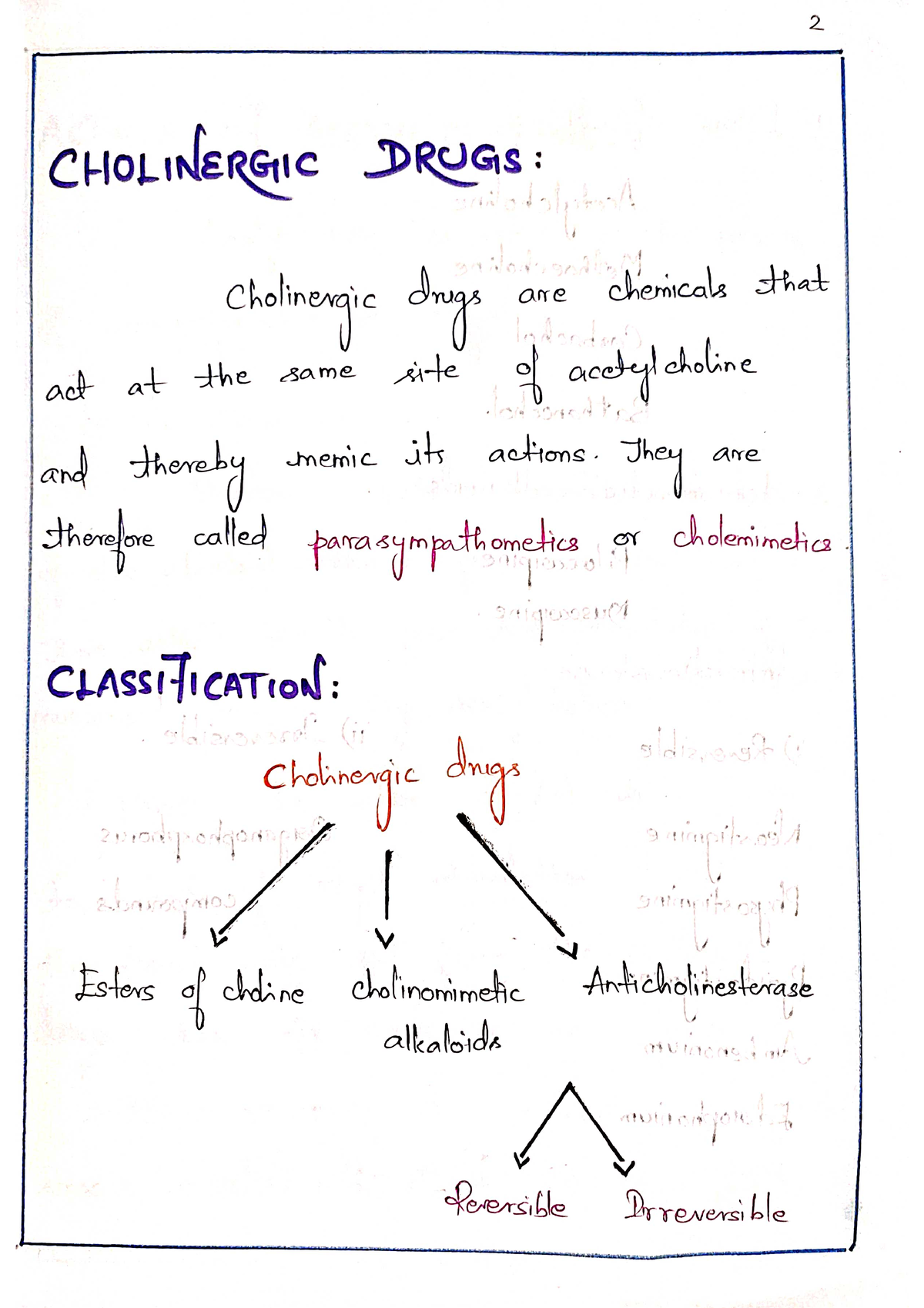 write an essay on cholinergic drugs