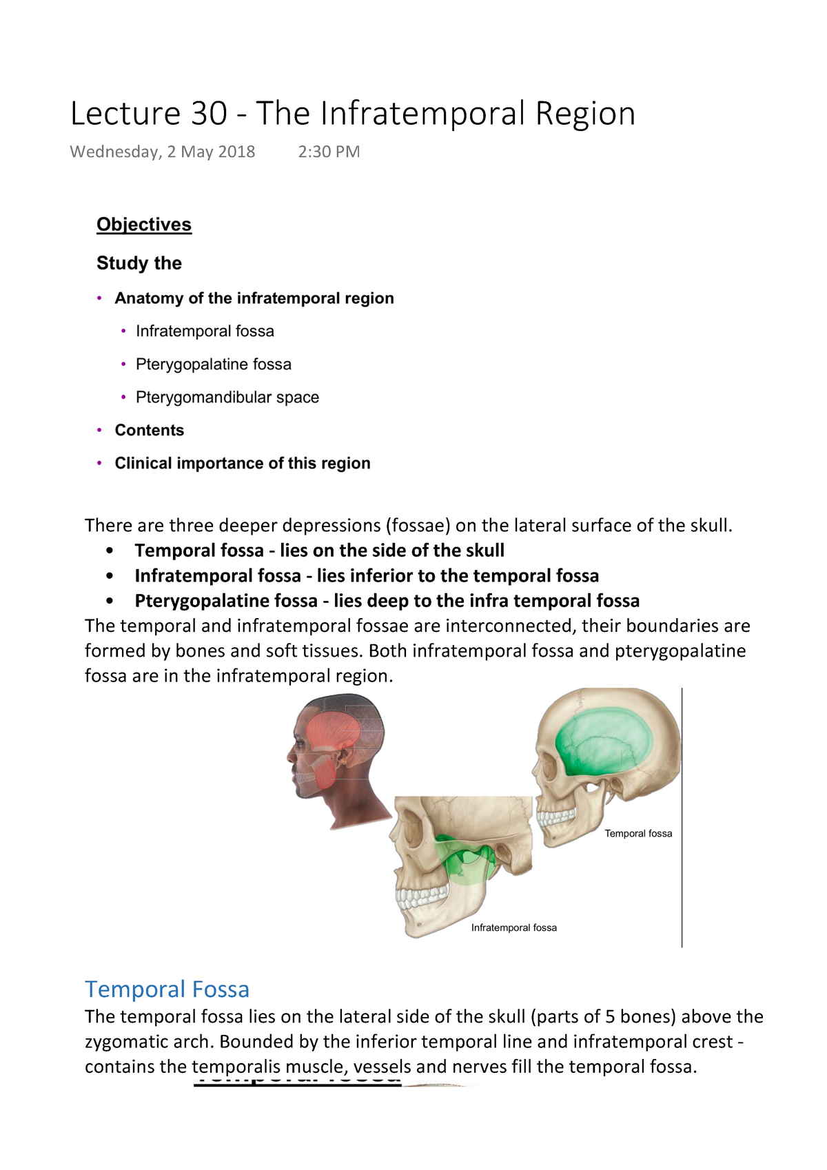temporal fossa and infratemporal fossa
