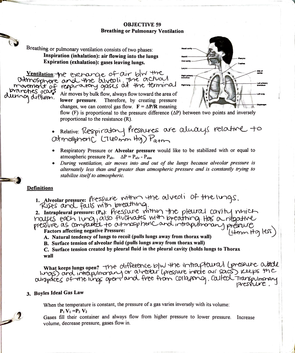 Objectives 59 to 72 - Notes - ·~ OBJECTIVE 59 Breathing or Pulmonary ...