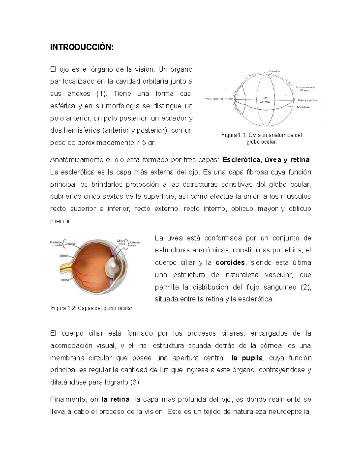 Observo detras de una proteccion de vision