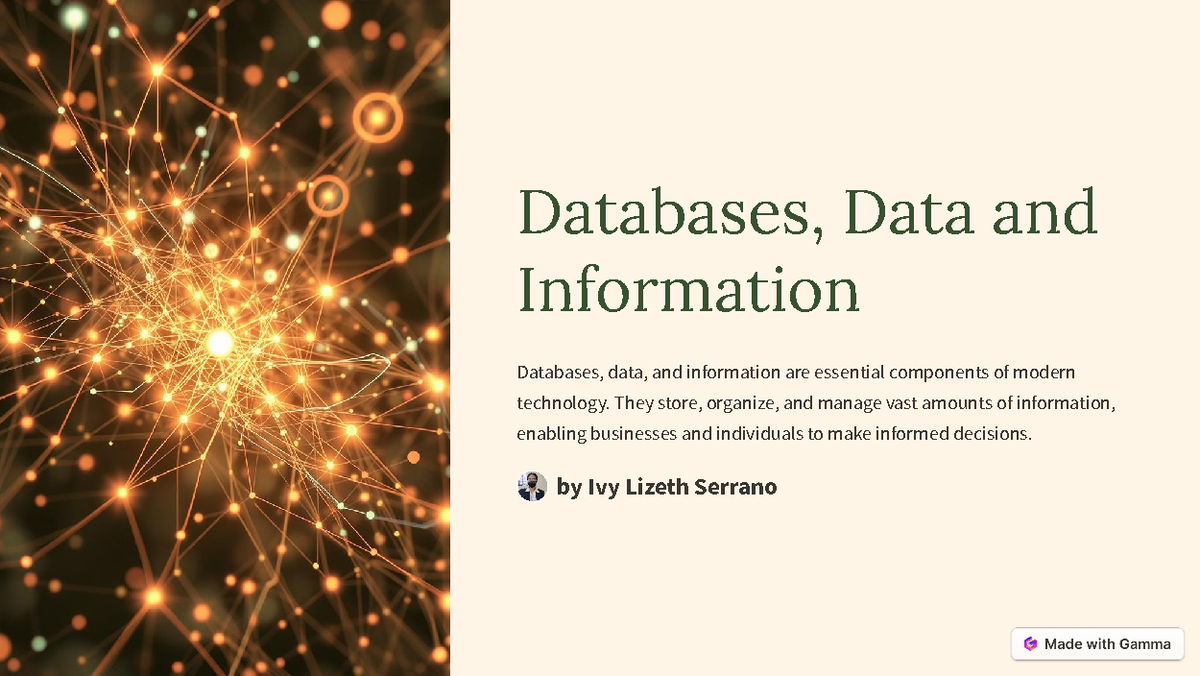 Databases Data and Information - Databases, Data and Information ...