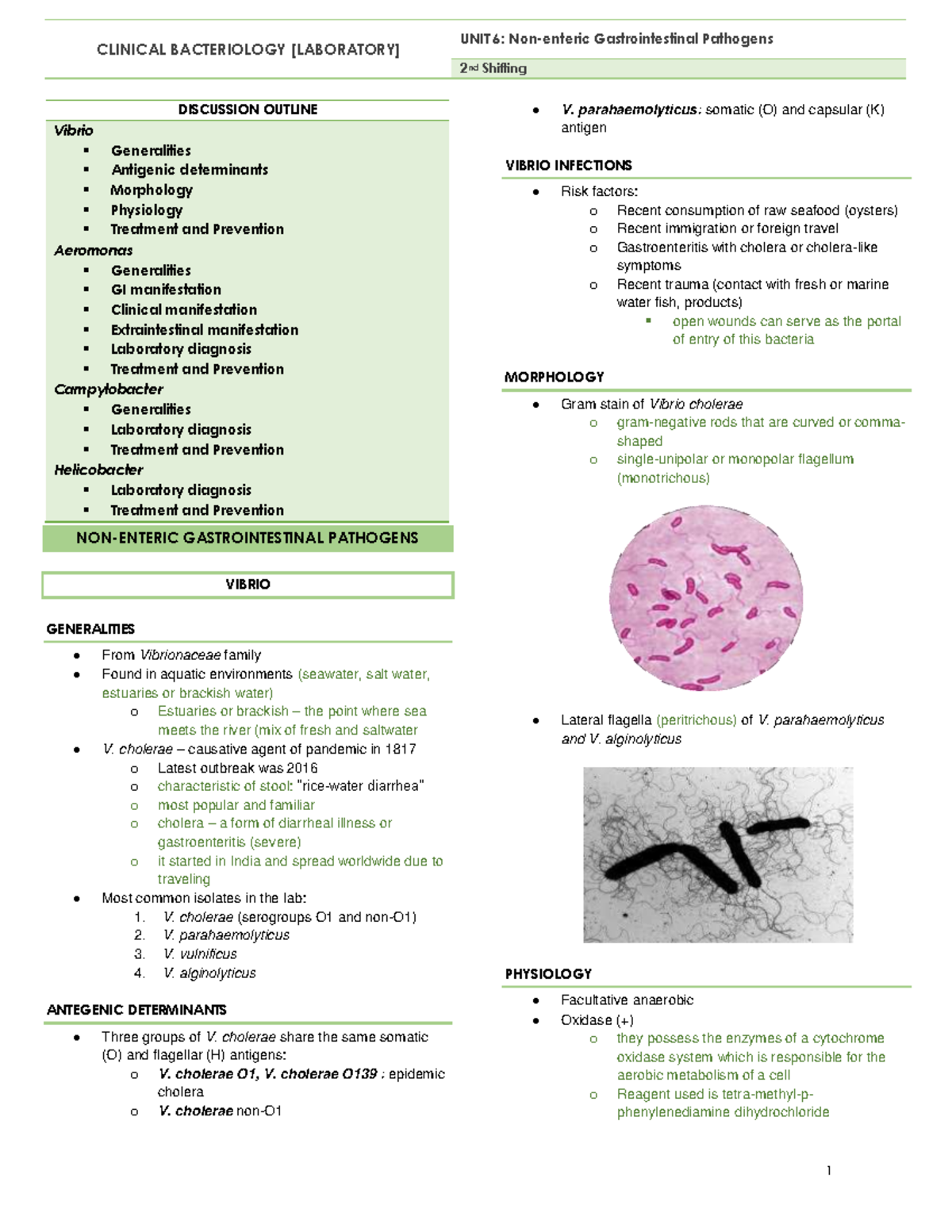 Bacteriology Nonenteric Gastrointestinal Pathogens CLINICAL