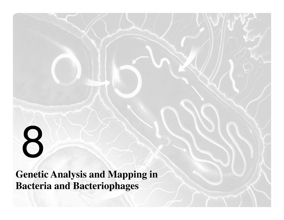 Lecture 10 Microbial Genetics - 8 Genetic Analysis And Mapping In ...