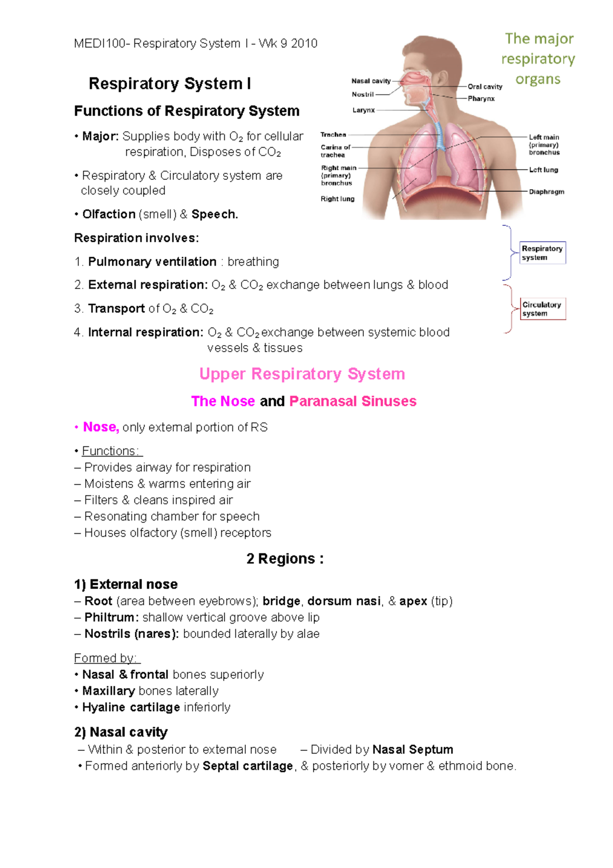 MEDI100- Wk9 Respiratory system I - Respiratory System I Functions of ...