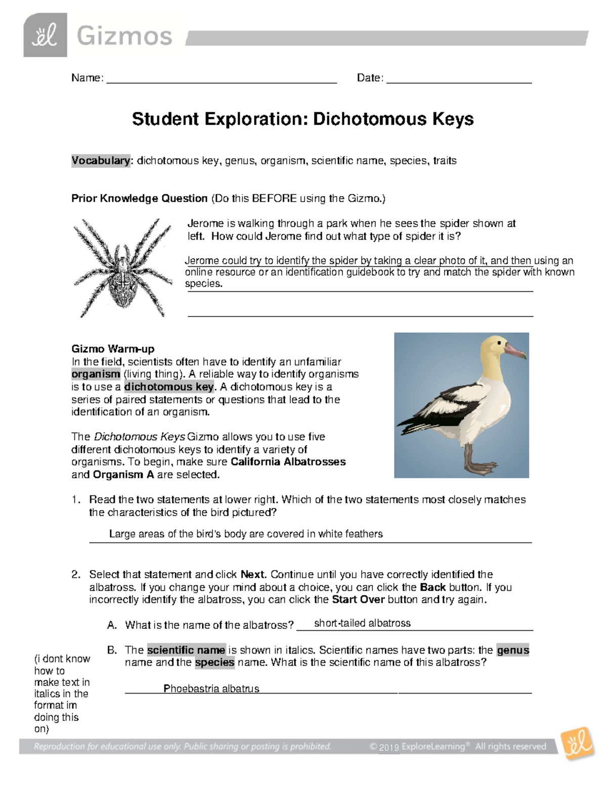 Dichotomous Keys SE - answer key - Name ...