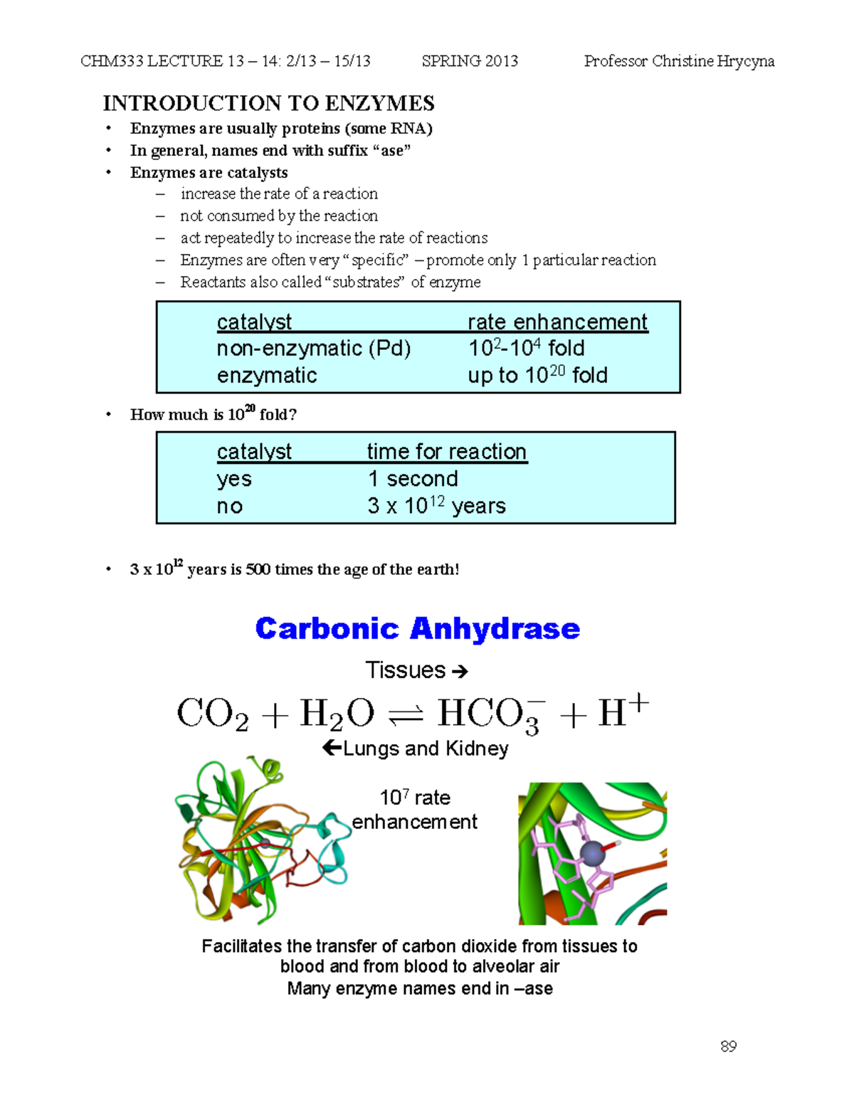 Copy of Lecture 1314 Intro to Enzymes INTRODUCTION TO ENZYMES