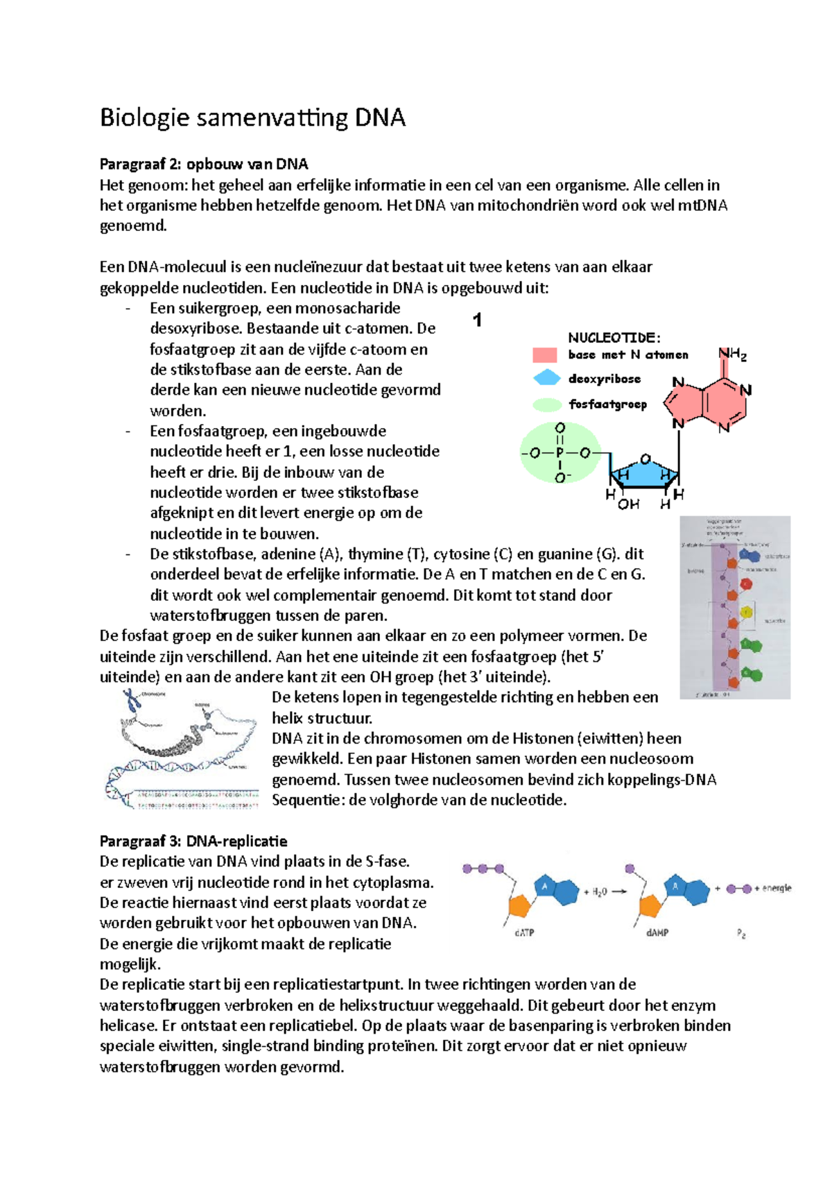 Biologie Samenvatting DNA - Biologie Samenvatting DNA Paragraaf 2 ...