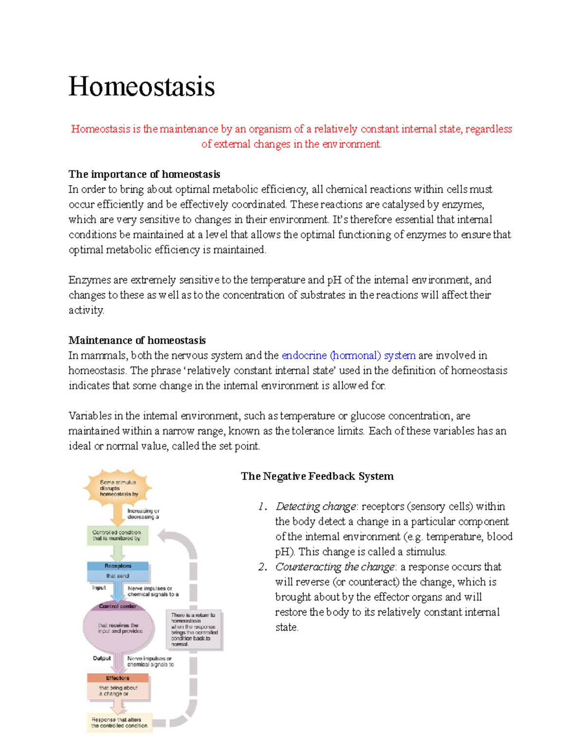 Homeostasis - Homeostasis Homeostasis is the maintenance by an organism ...